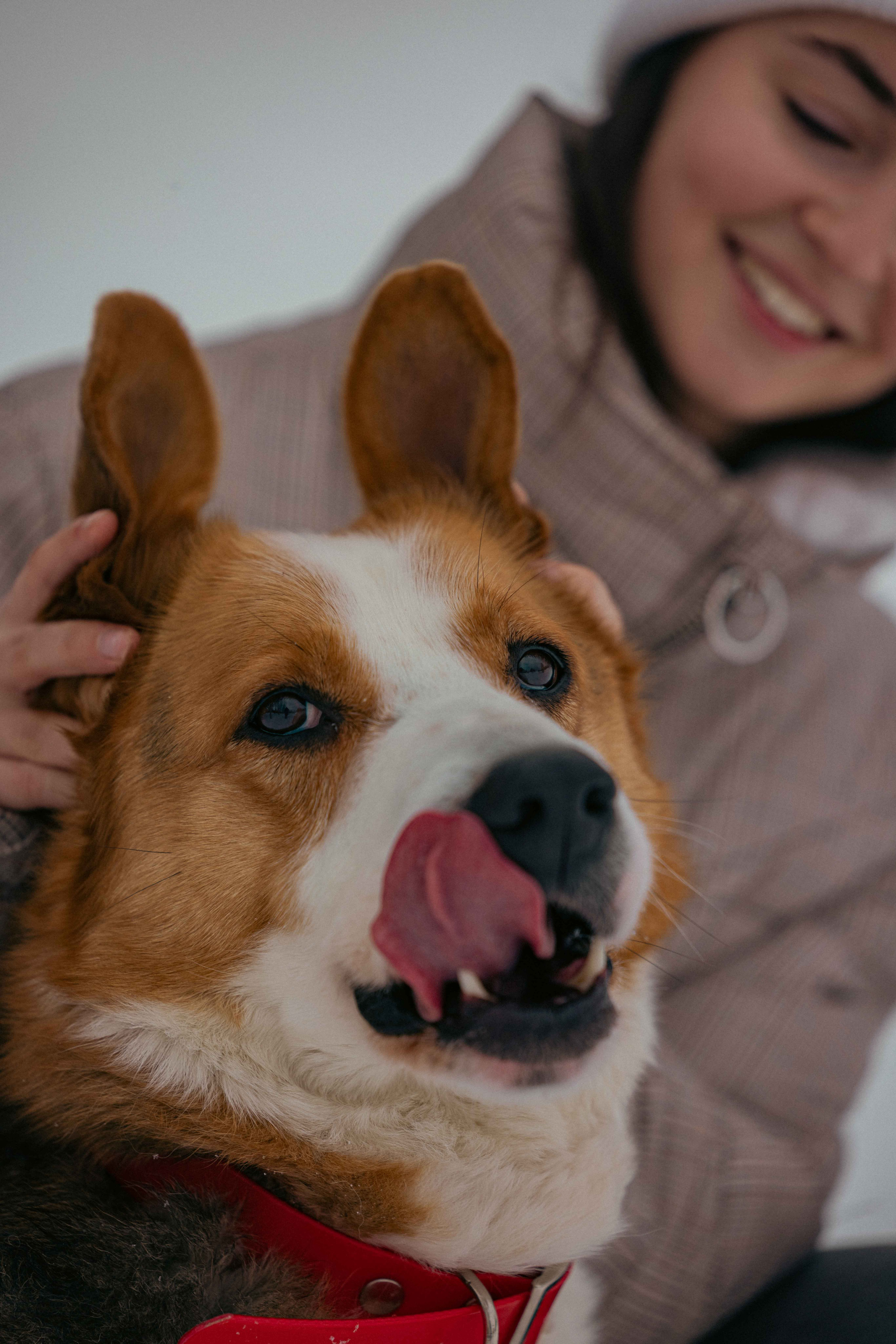 Петя. Фотограф-анималист в Москве Лера Черноног