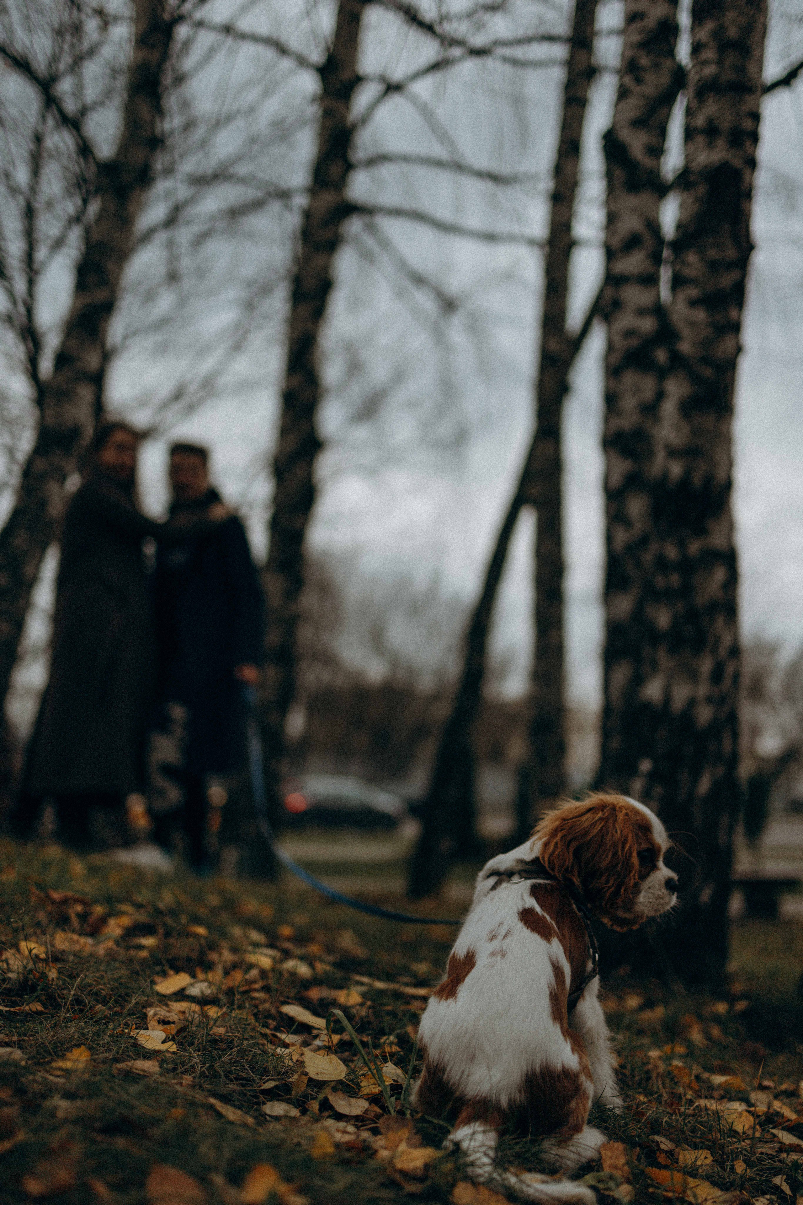 Юля и Кипр. Фотограф-анималист в Москве Лера Черноног