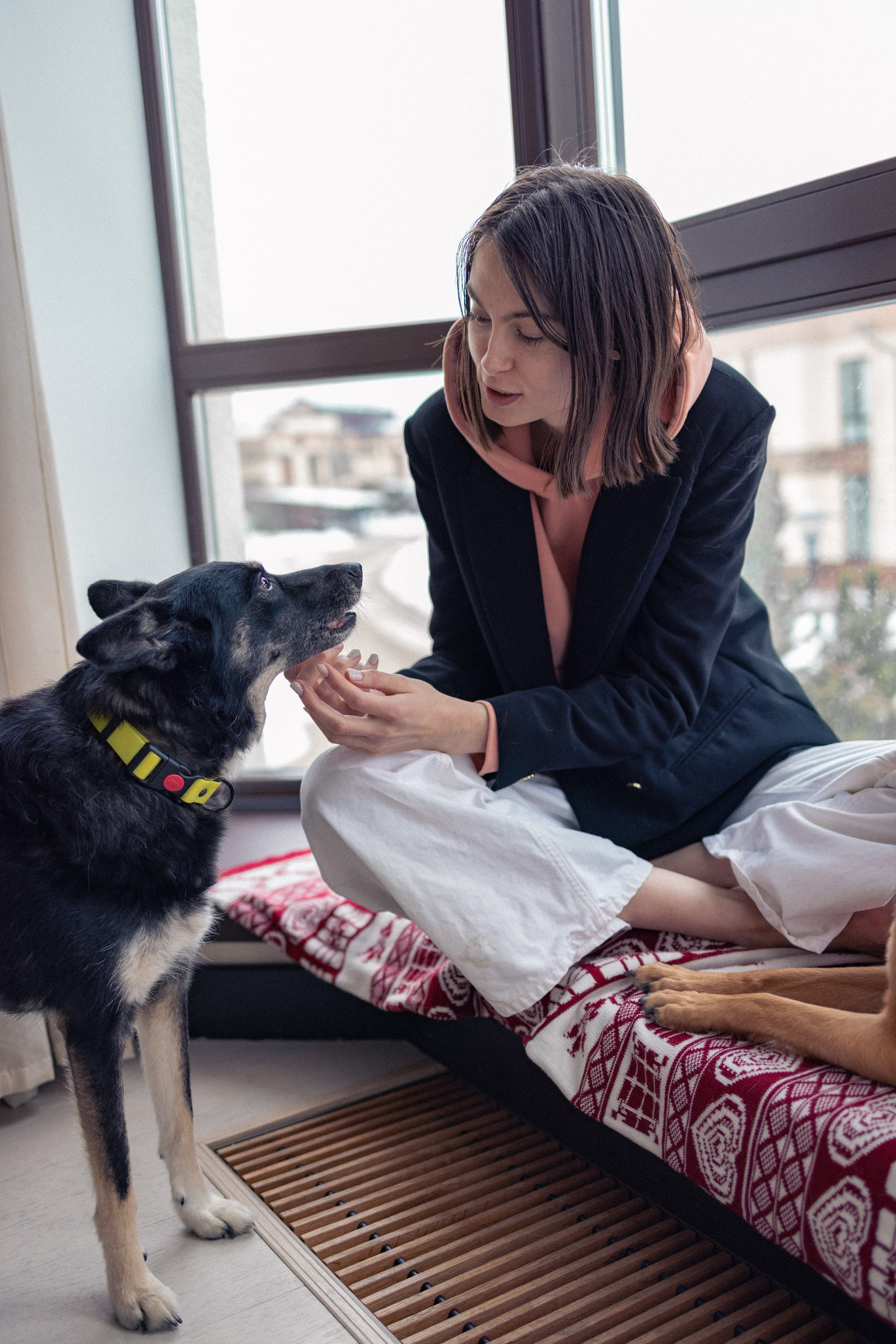 Ника, Матиша и Герда. Фотограф-анималист в Москве Лера Черноног