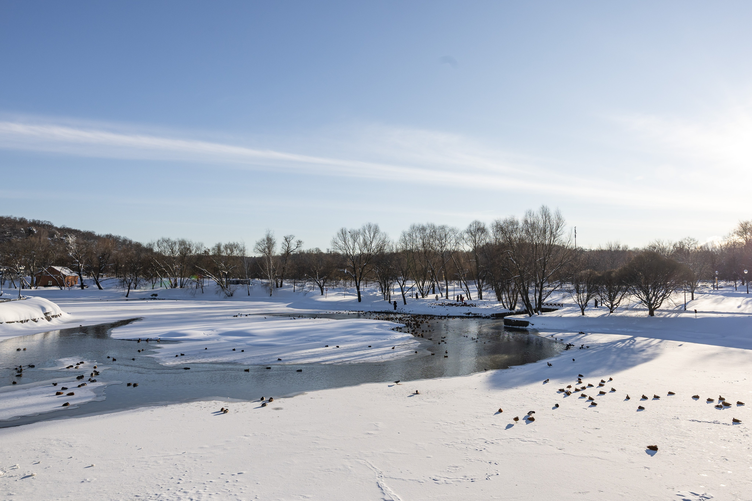 Природа. Фотограф Владимир Охрименко