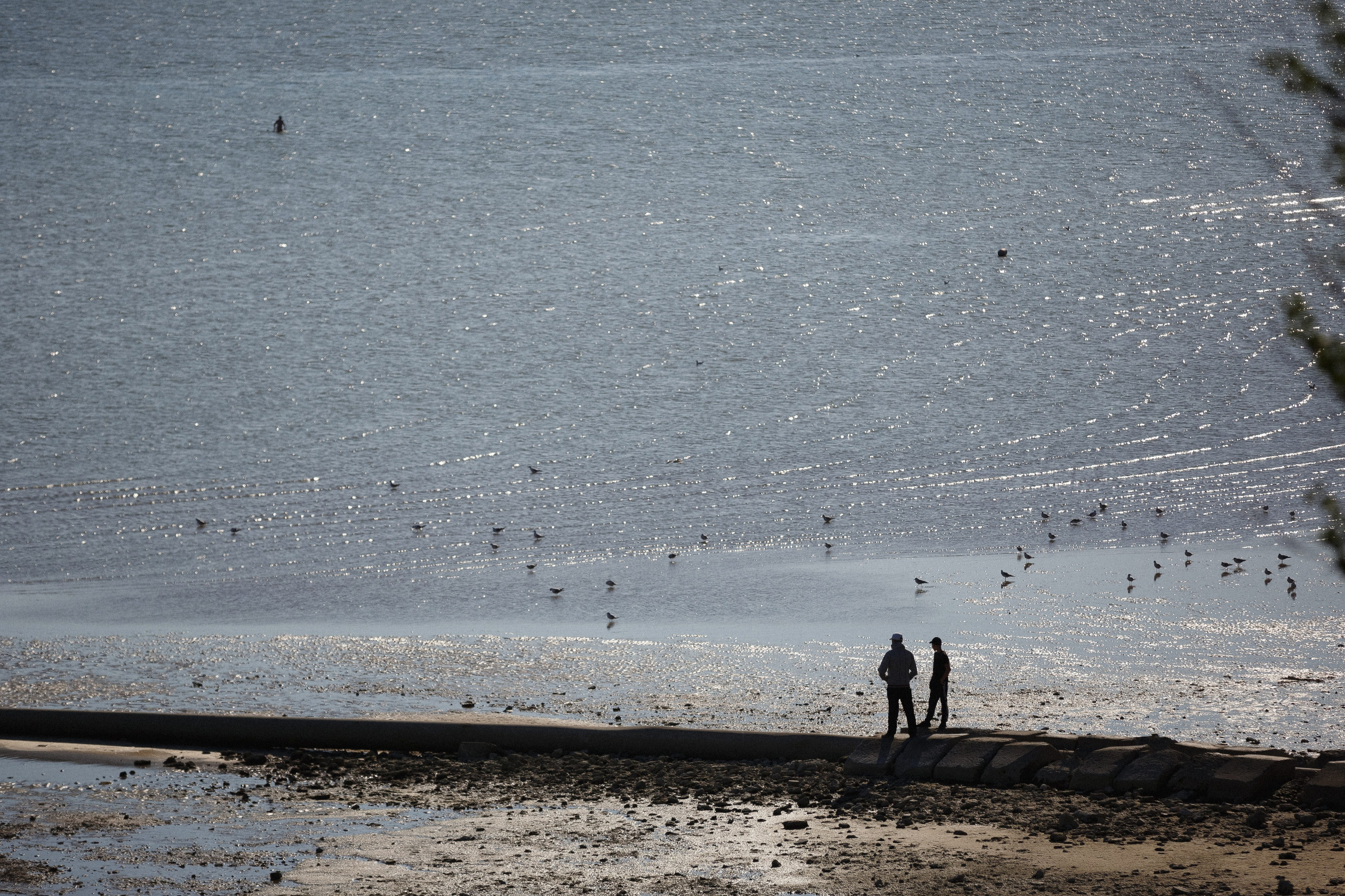 Фотографии фестиваля в Приморском парке Таганрога. Свадебный и семейный фотограф в Таганроге Бакарюк Антон