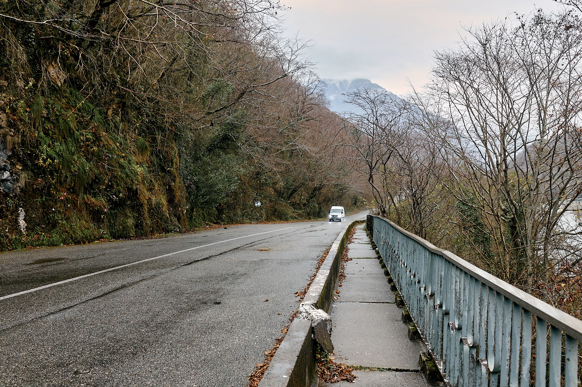 Озеро Рица, Абхазия. Декабрь 2024. Фотографии отовсюду и обо всем