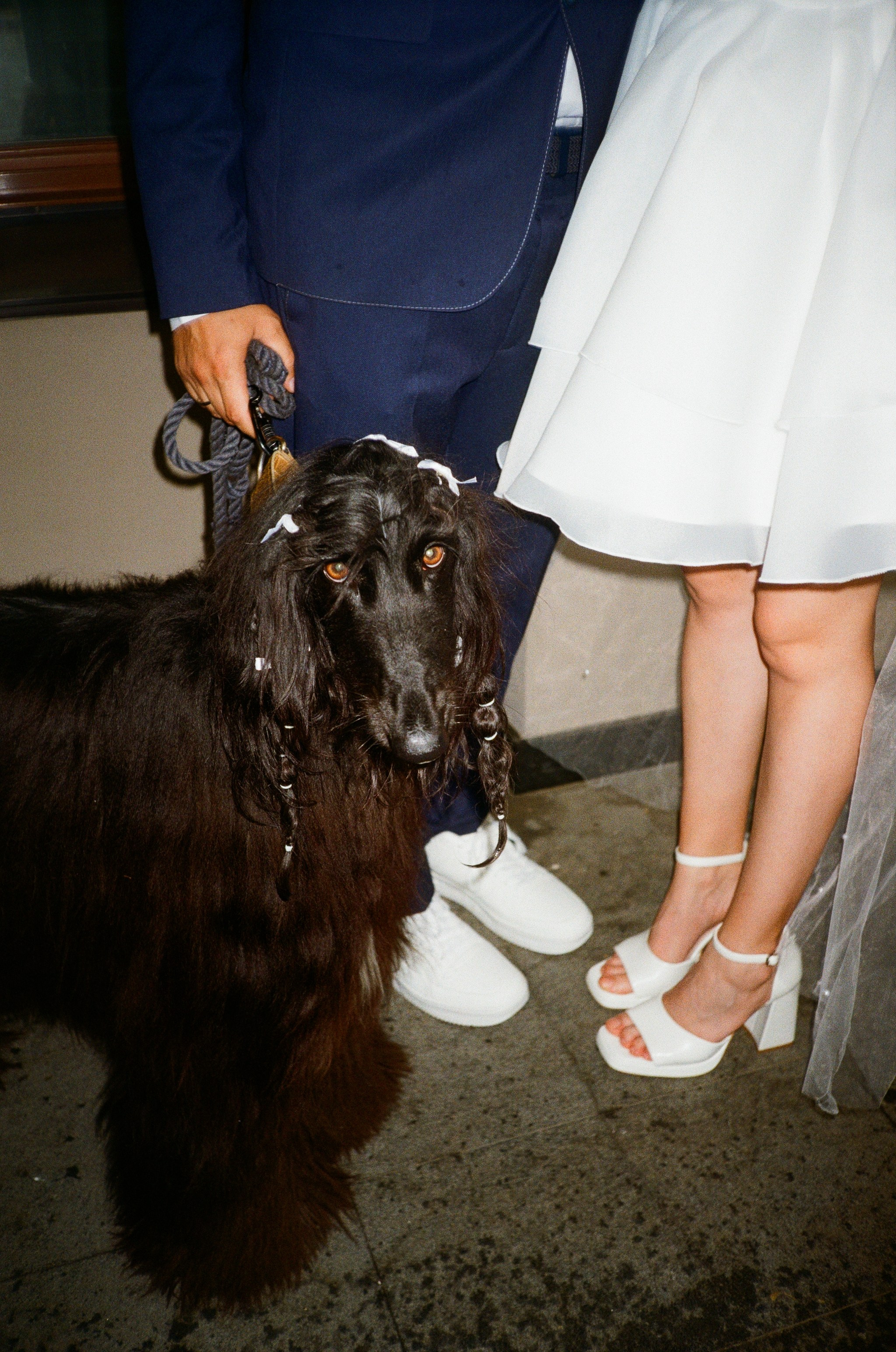 Свадьбы. Katya Panova