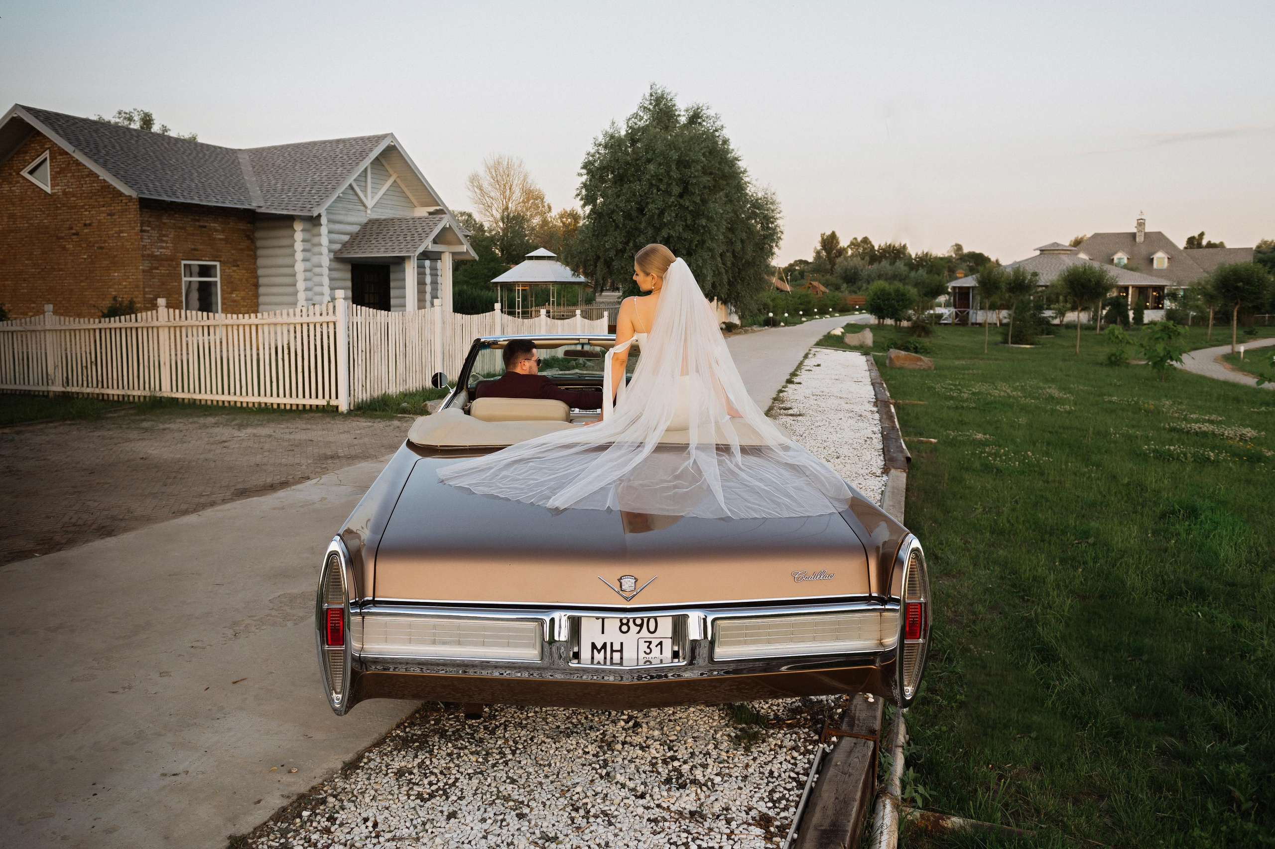 Владимир и Елена. Свадебный фотограф в Белгороде Владимир Золотарев