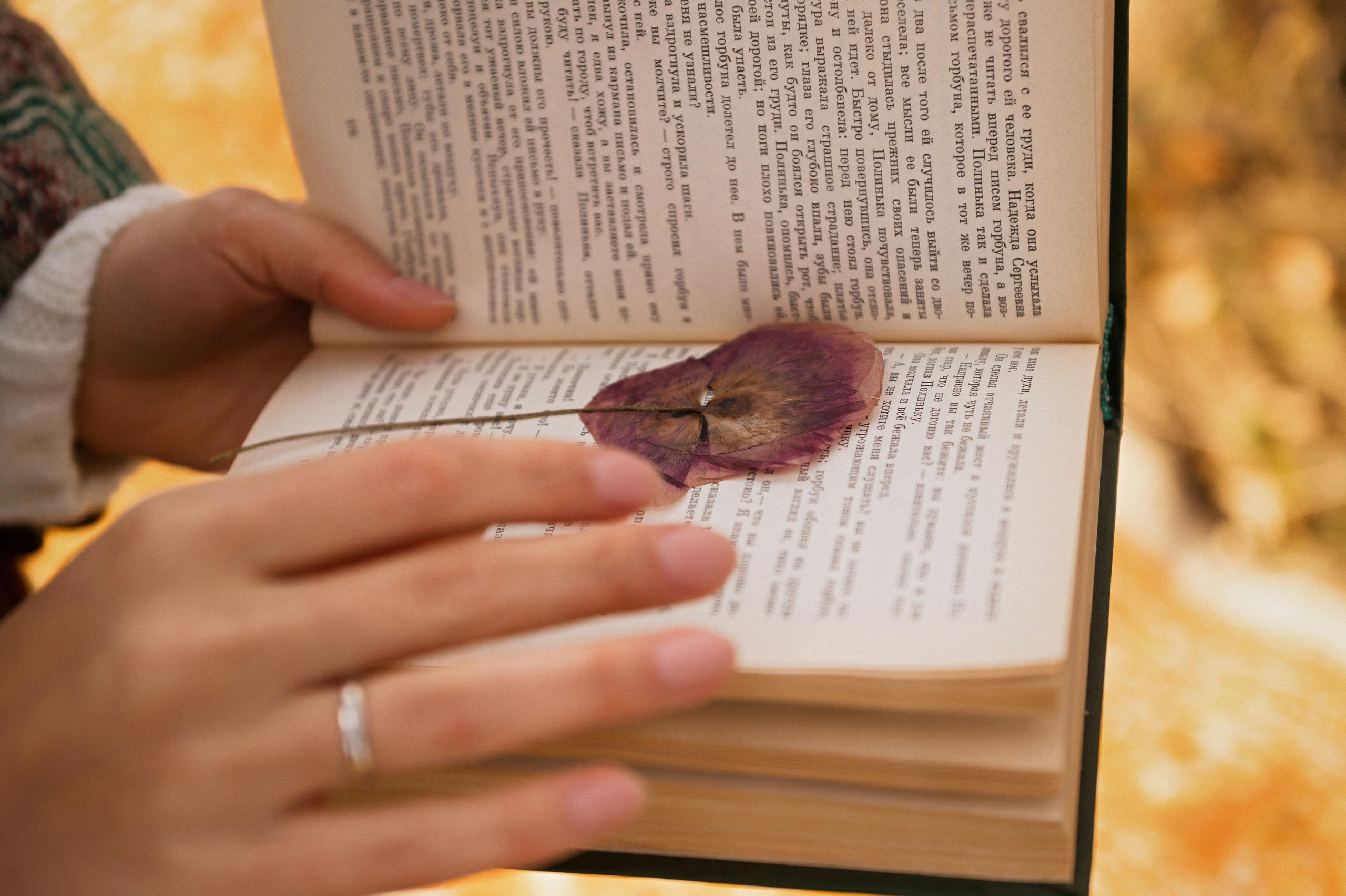 Михаил и Татьяна. Свадебный фотограф в Белгороде Владимир Золотарев