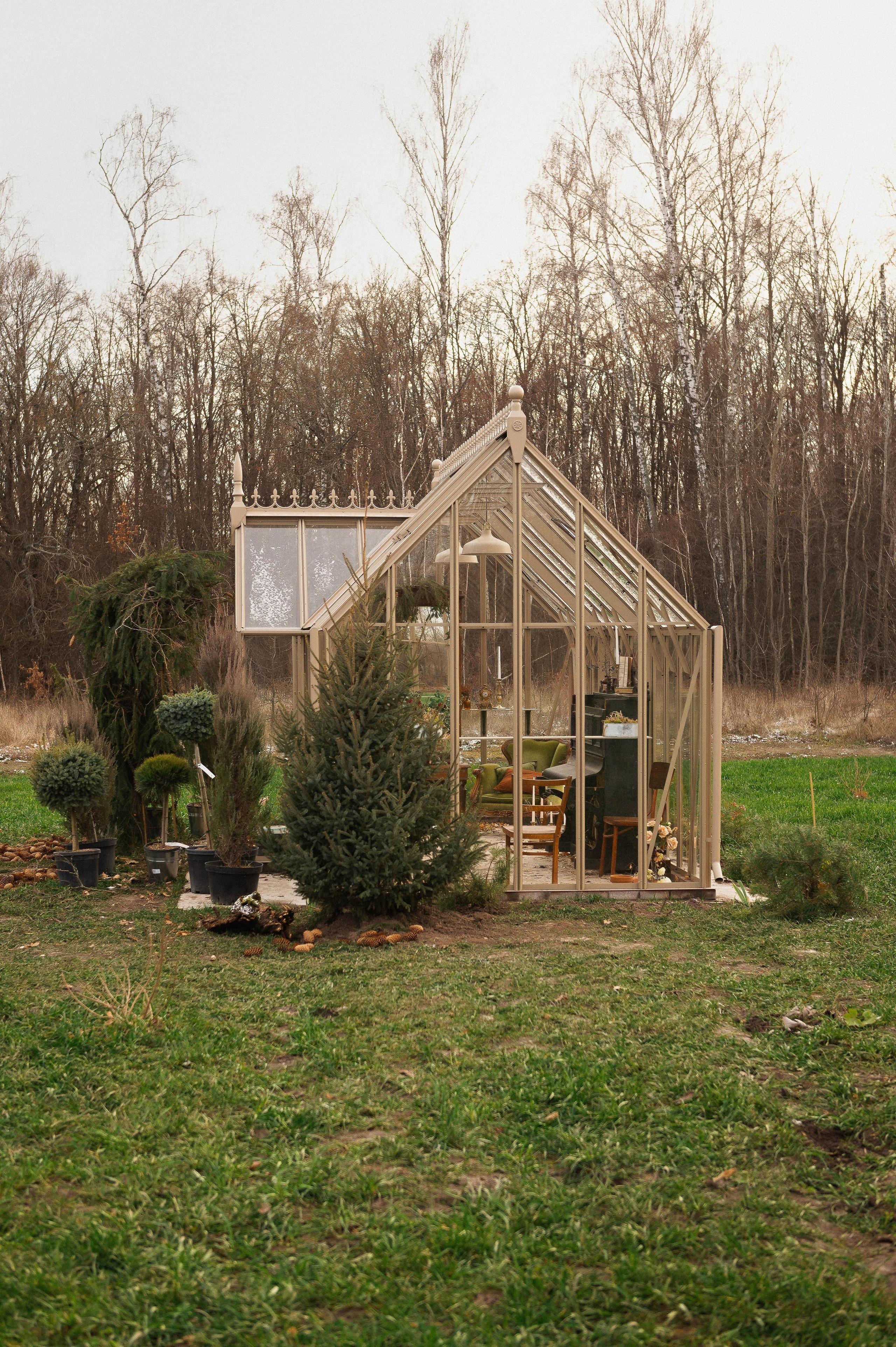 Михаил и Татьяна. Свадебный фотограф в Белгороде Владимир Золотарев
