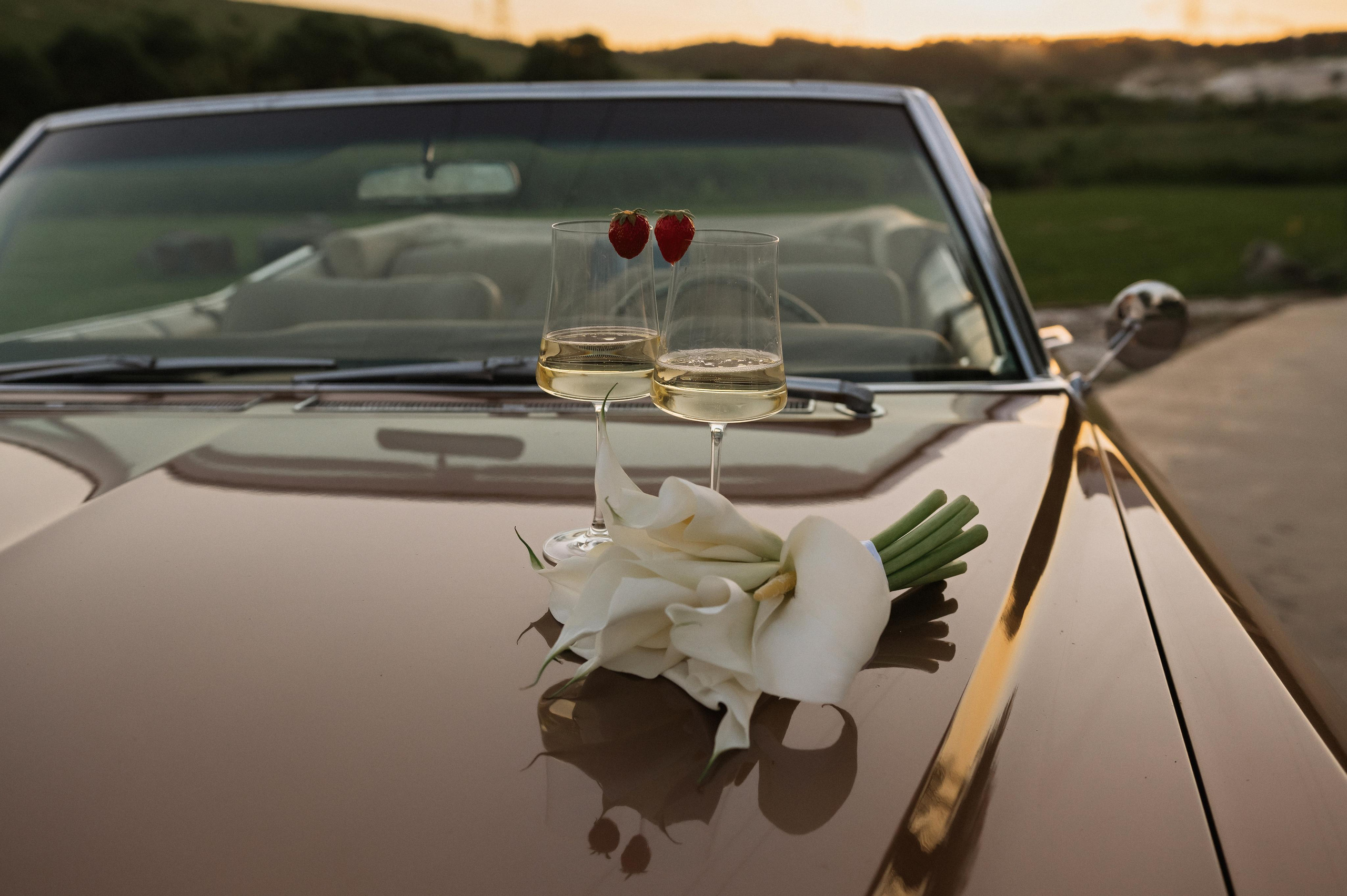 Владимир и Елена. Свадебный фотограф в Белгороде Владимир Золотарев