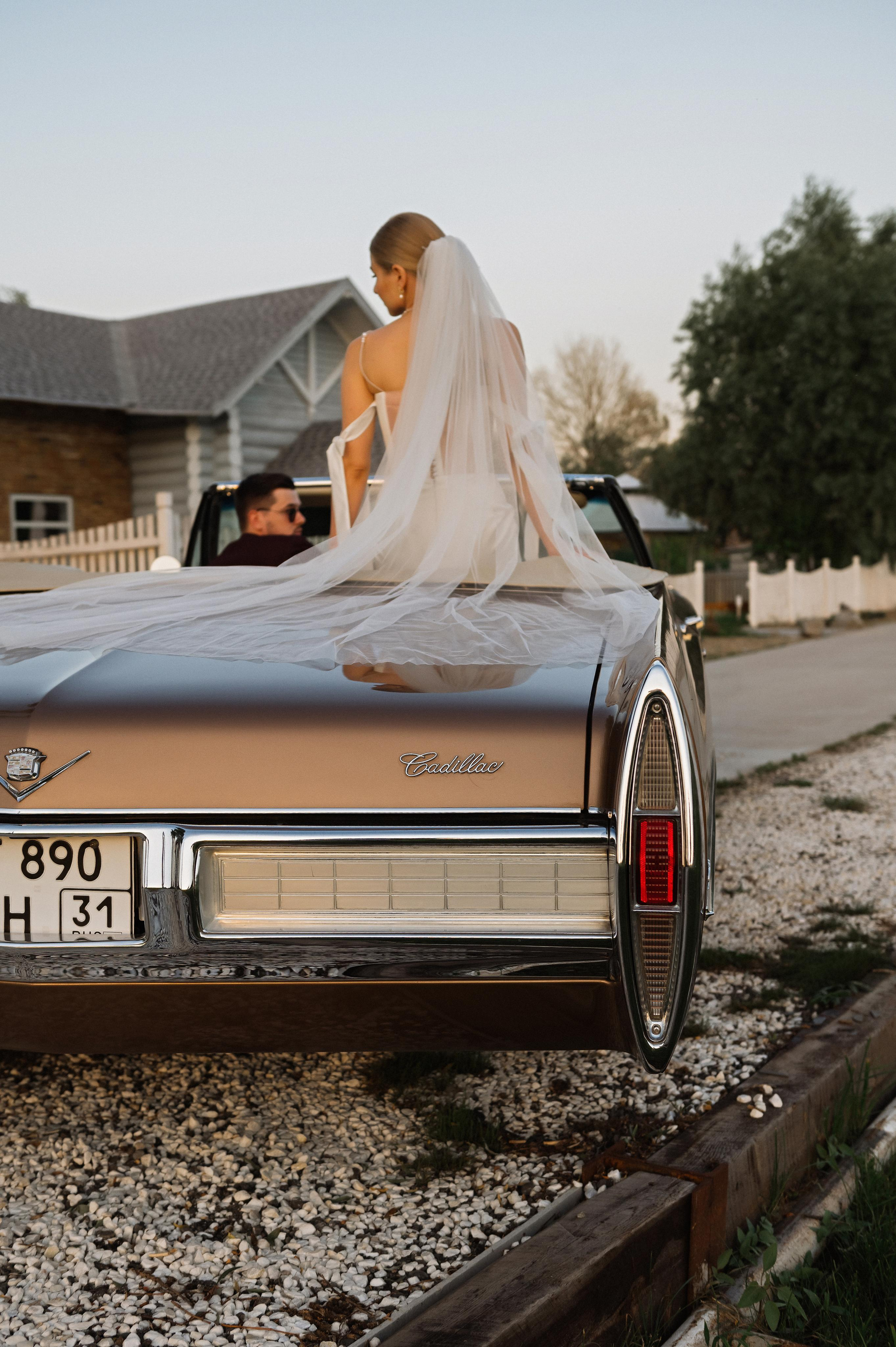 Владимир и Елена. Свадебный фотограф в Белгороде Владимир Золотарев