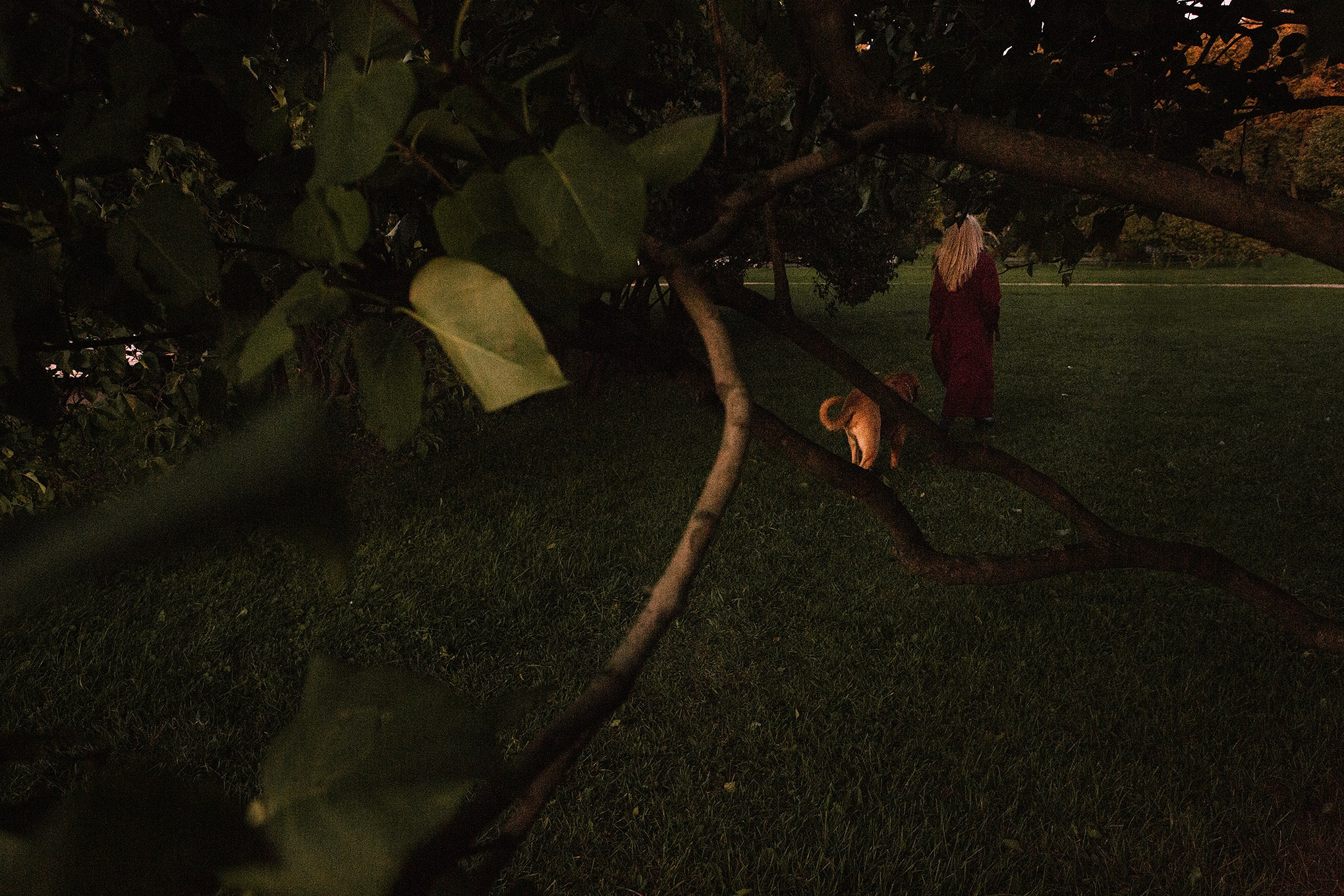 Юлия и Макс. Семейный и портретный фотограф в Санкт-Петербурге