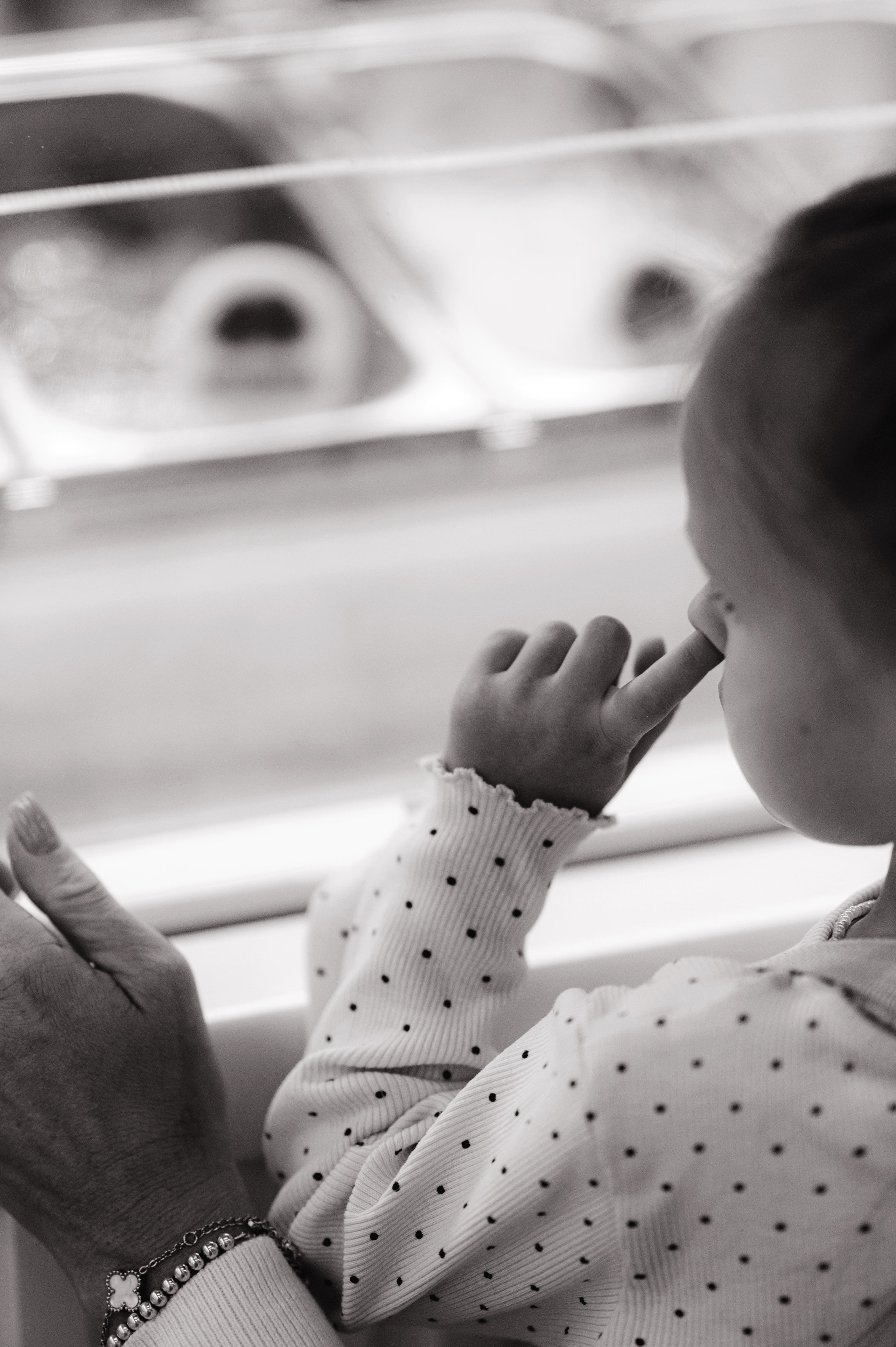 ЧБ прогулка. Детский и семейный фотограф