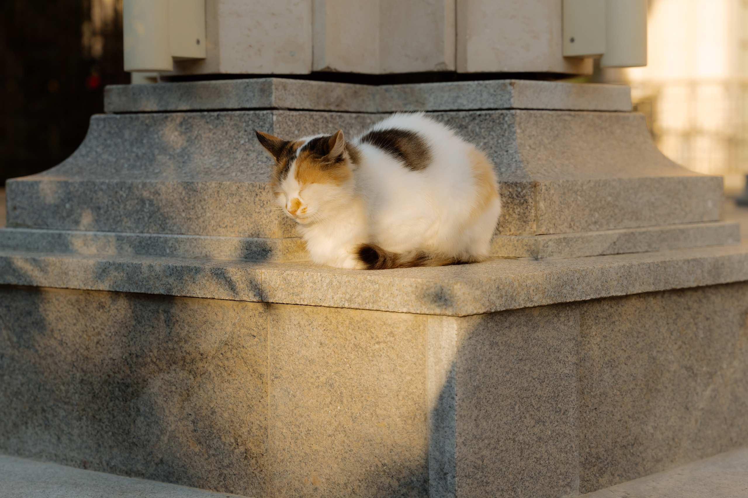 Никита и Анастасия. Главная