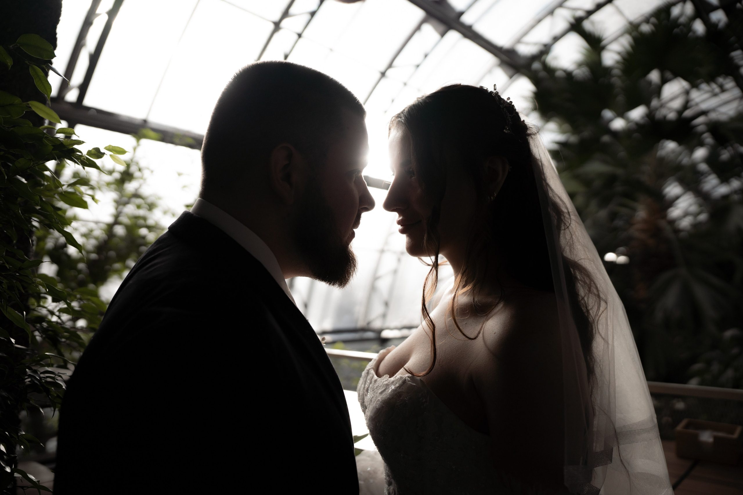 Свадебная фотография в Оранжерее Таврического сада Санкт-Петербурге. Жених и невеста стоят лицом к лицу в лучах солнца