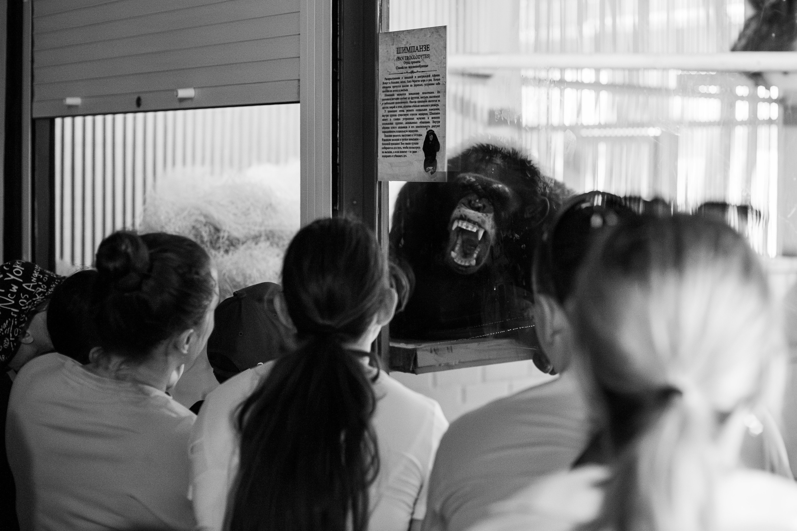 Гуляю то тут то там. Photographer Alik Melkonyan