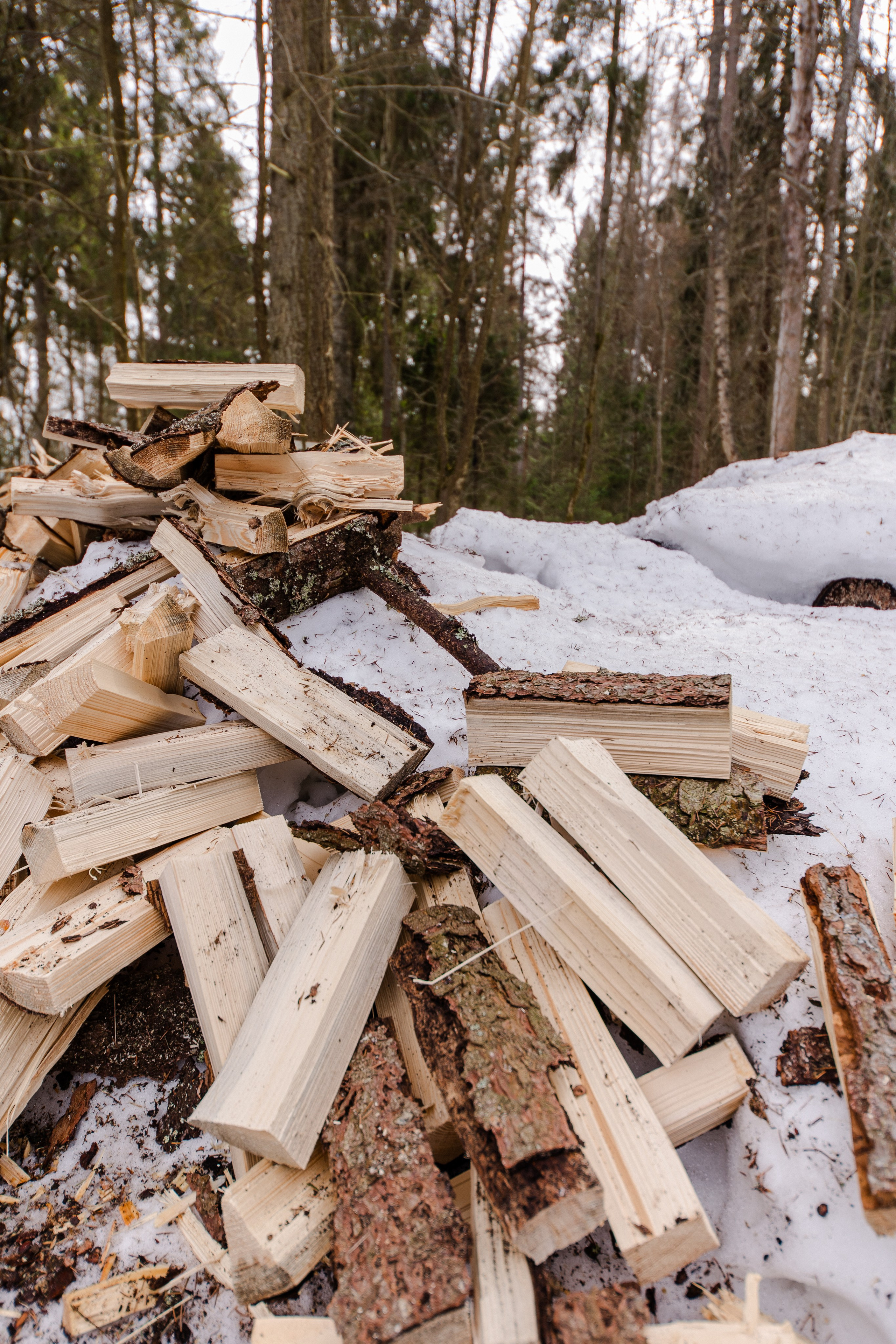 Глемпинг Дивный бор. Семейный и детский фотограф в Москве Кузьмина Мария