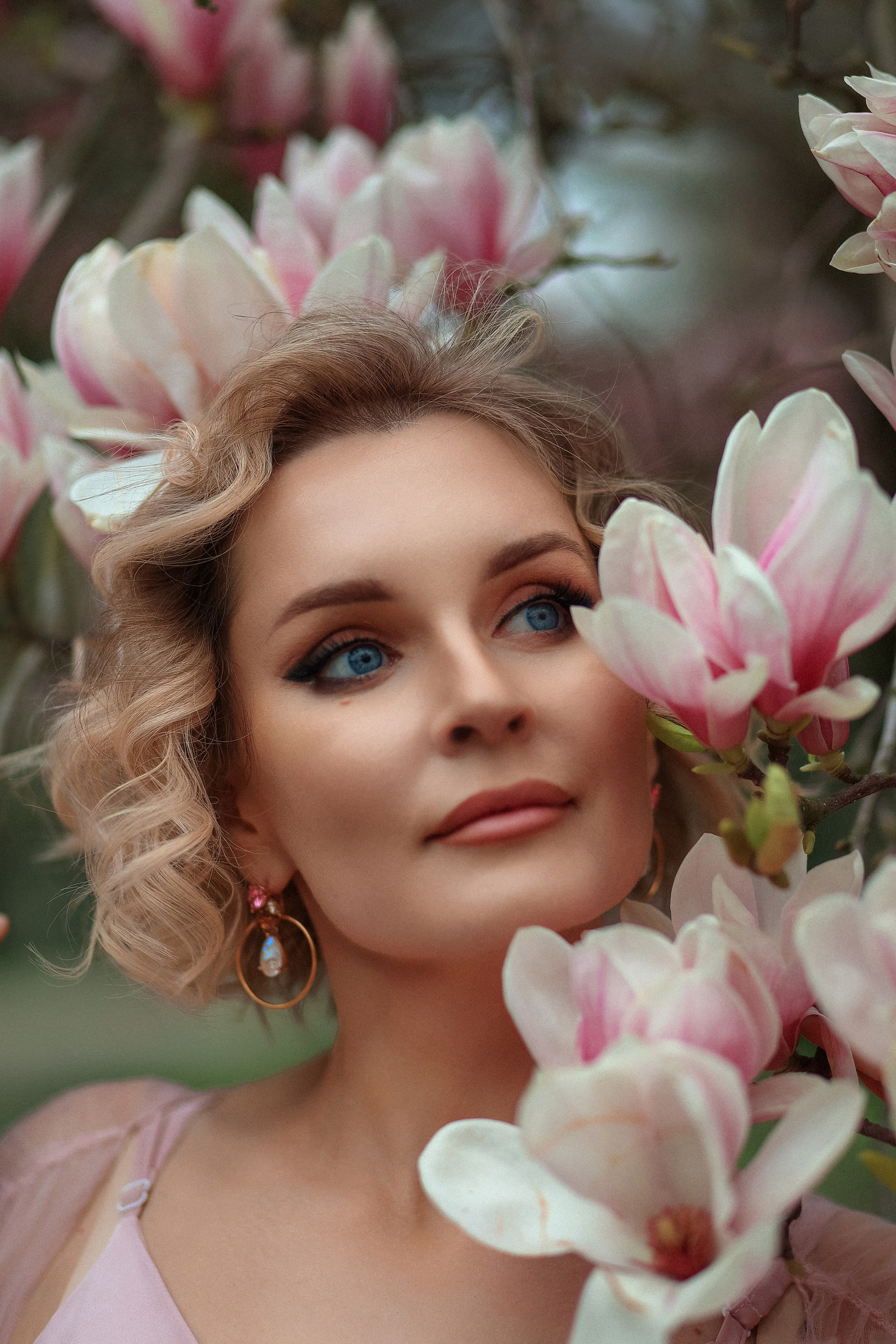 Цветение. Магнолия. Сакура. Фотограф в городе Сочи