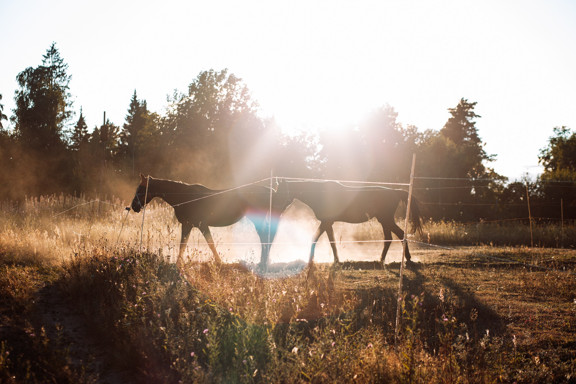 Репортаж. Фотограф Демина Светлана