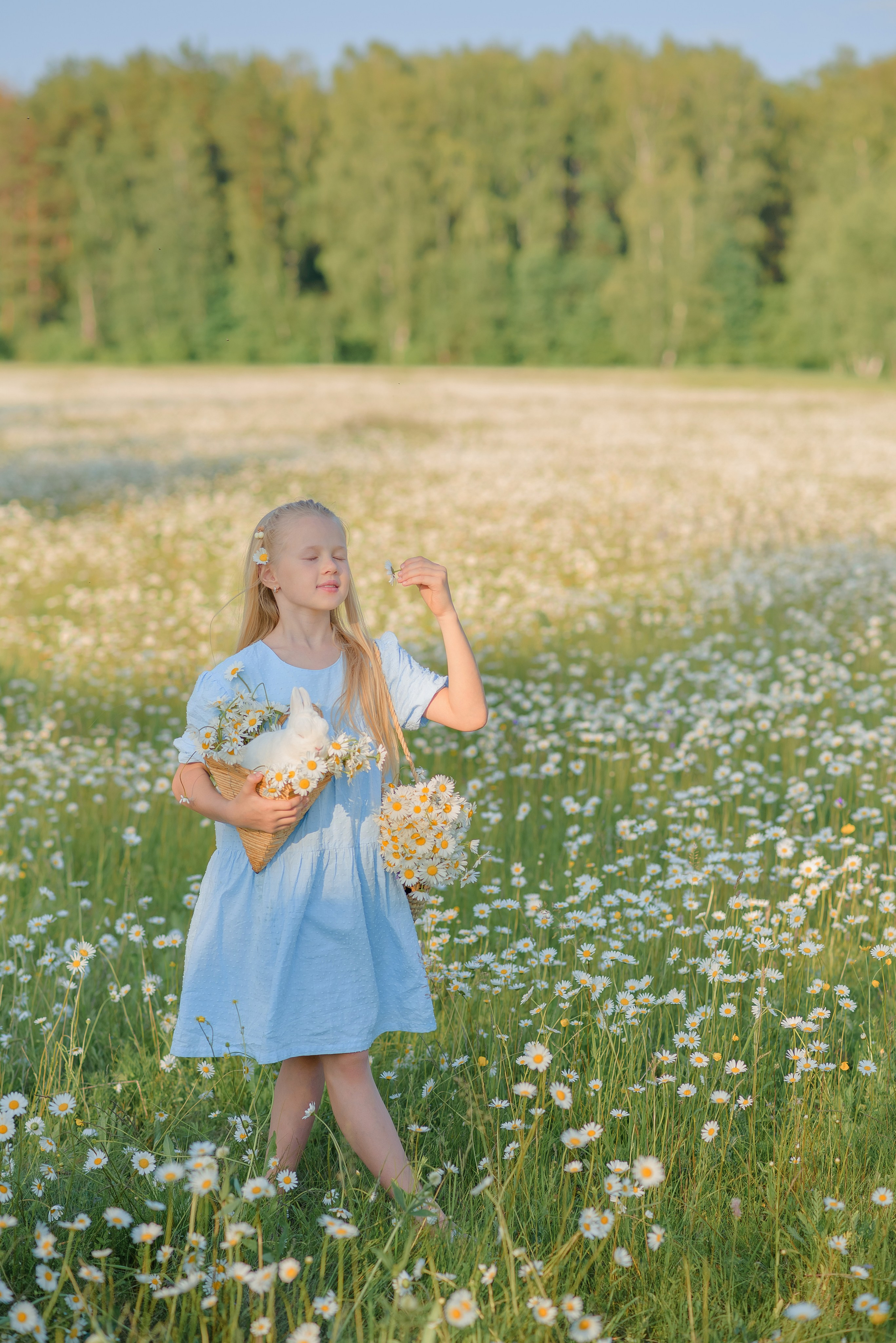 Ромашковое поле. Семейный фотограф в Рязани Мария Ермакова