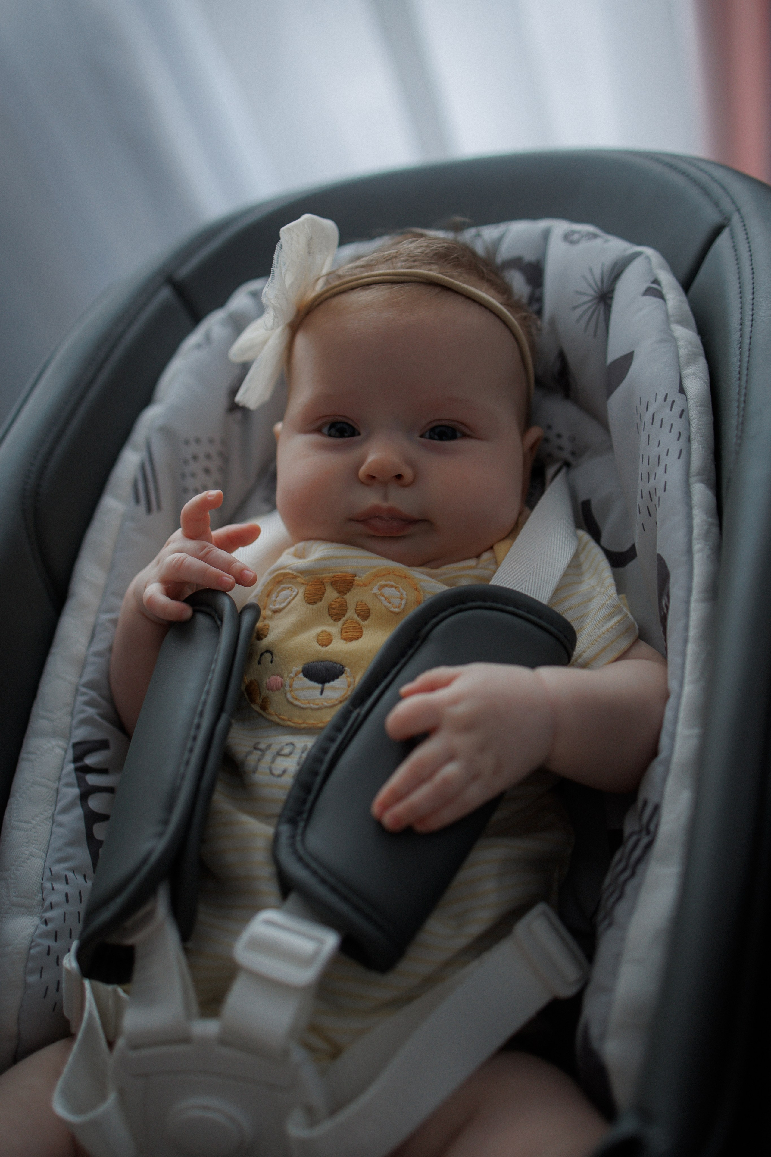 Наташа, Сергей, Мирон и Лукерья. Photograph Svetlana Volkova