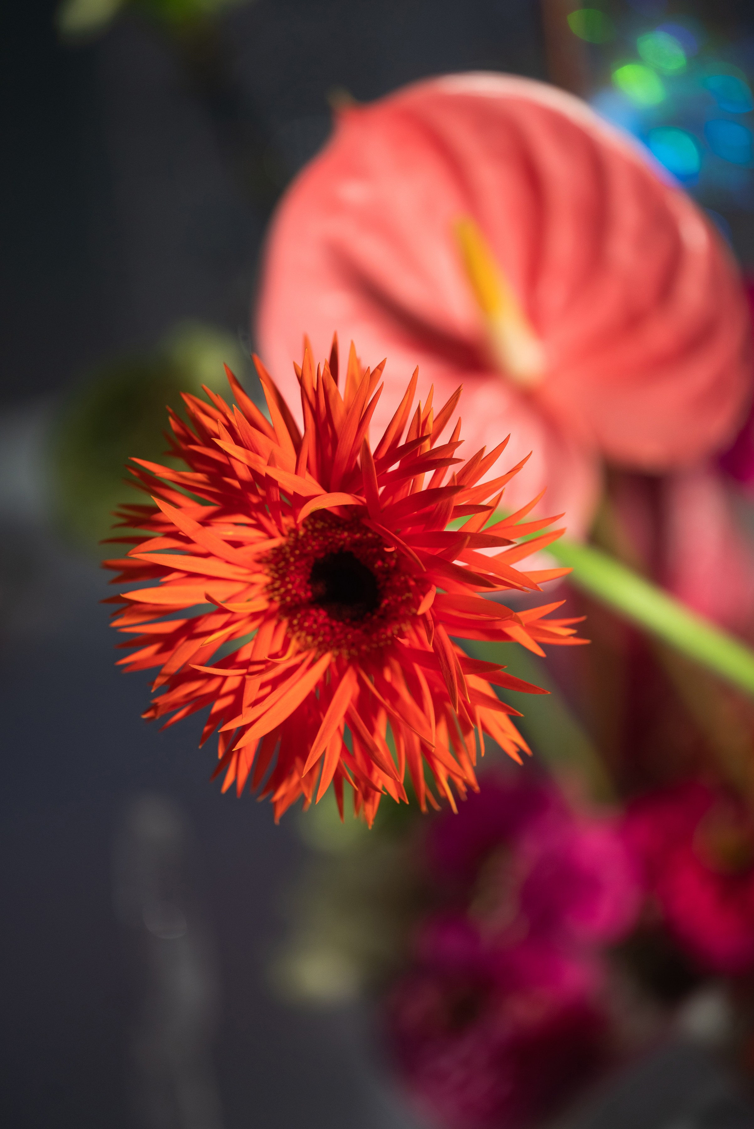 Иван и Александра. Свадебный фотограф в Москве Артём Кившарь