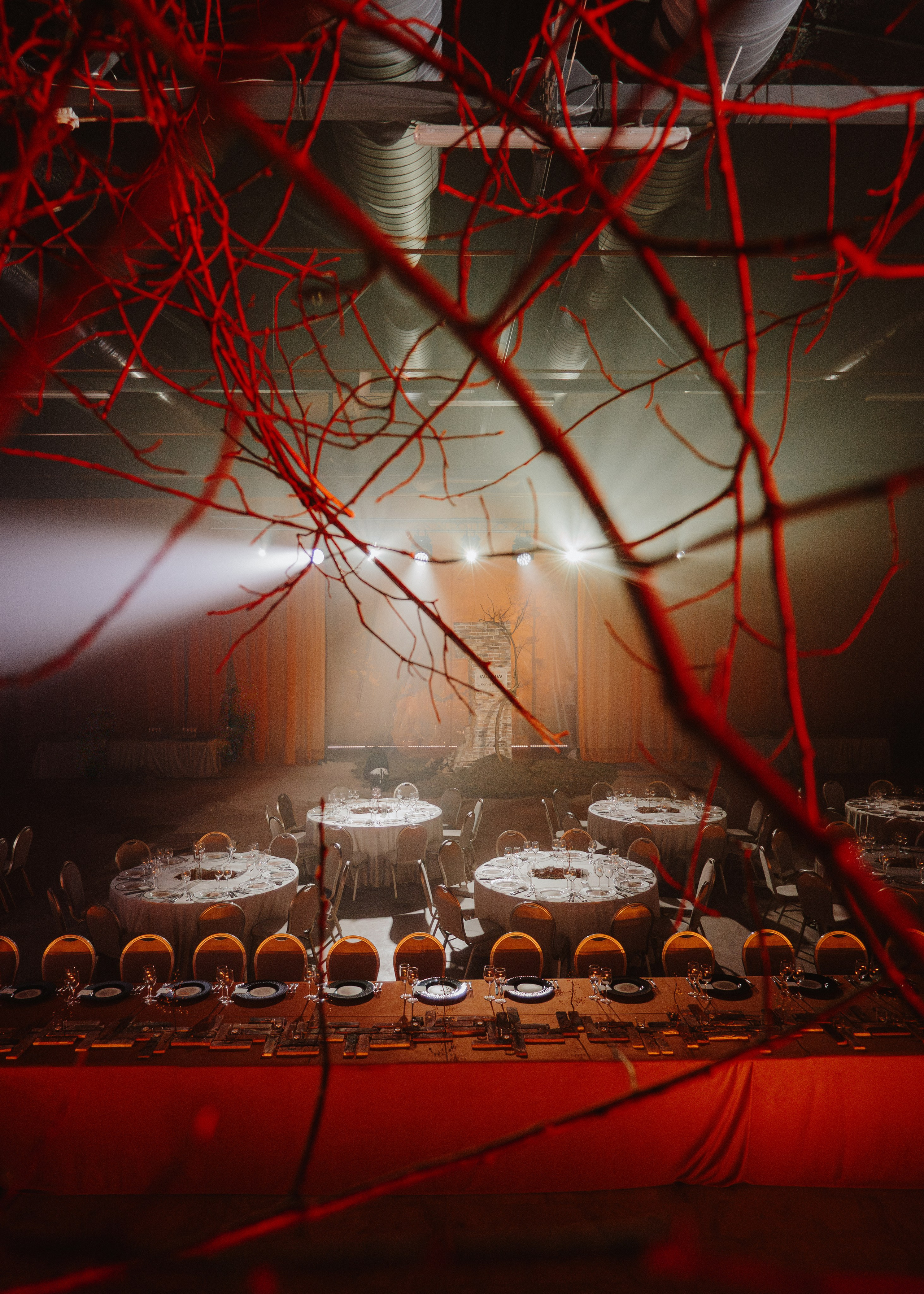 Wedding Awards Северо-Запад. Свадебный и репортажный фотограф в Москве Владимир Сергеев | Naysaikolo