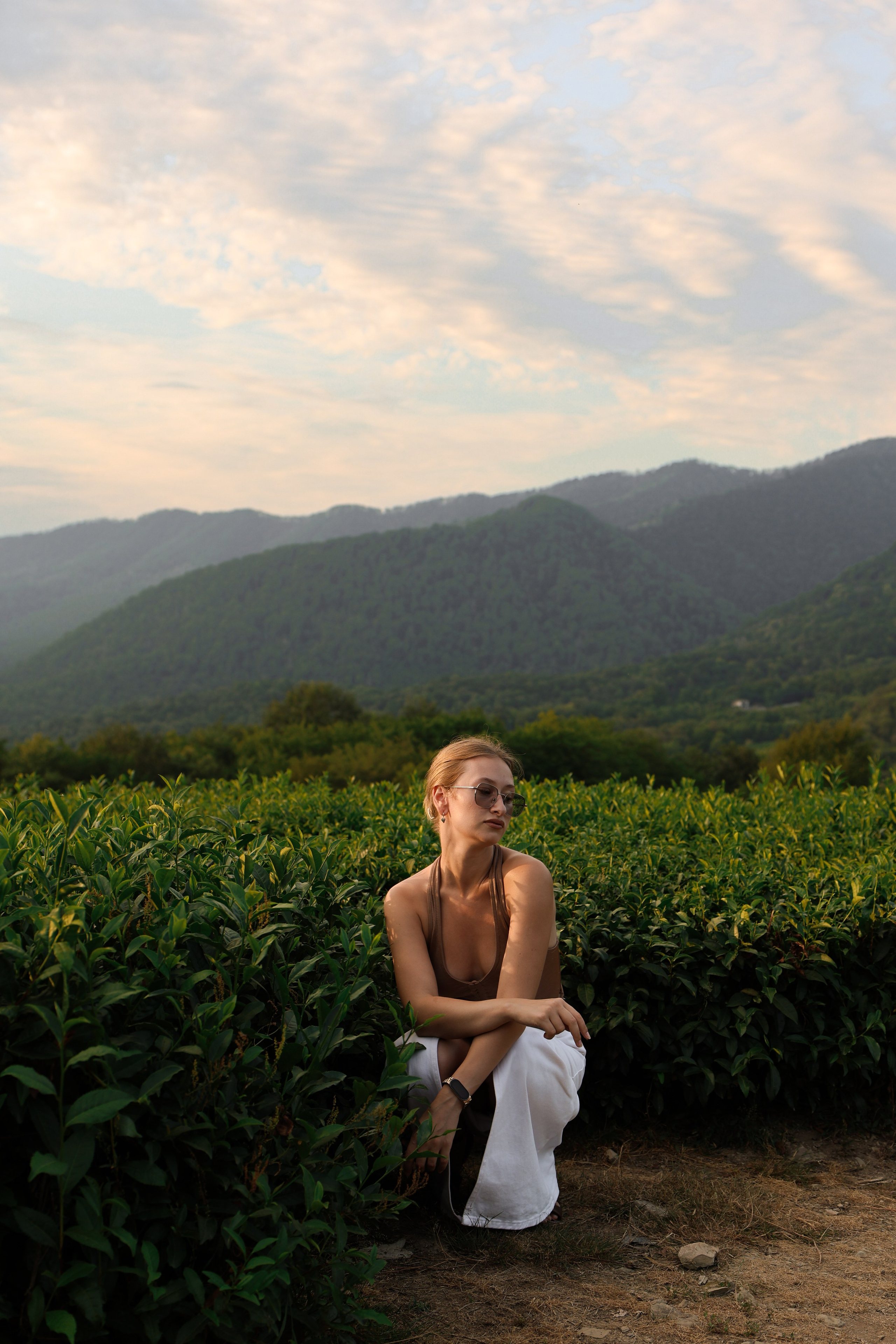 ЧАЙНЫЕ ПЛАНТАЦИИ. Фотограф Москва Оля Олбимак