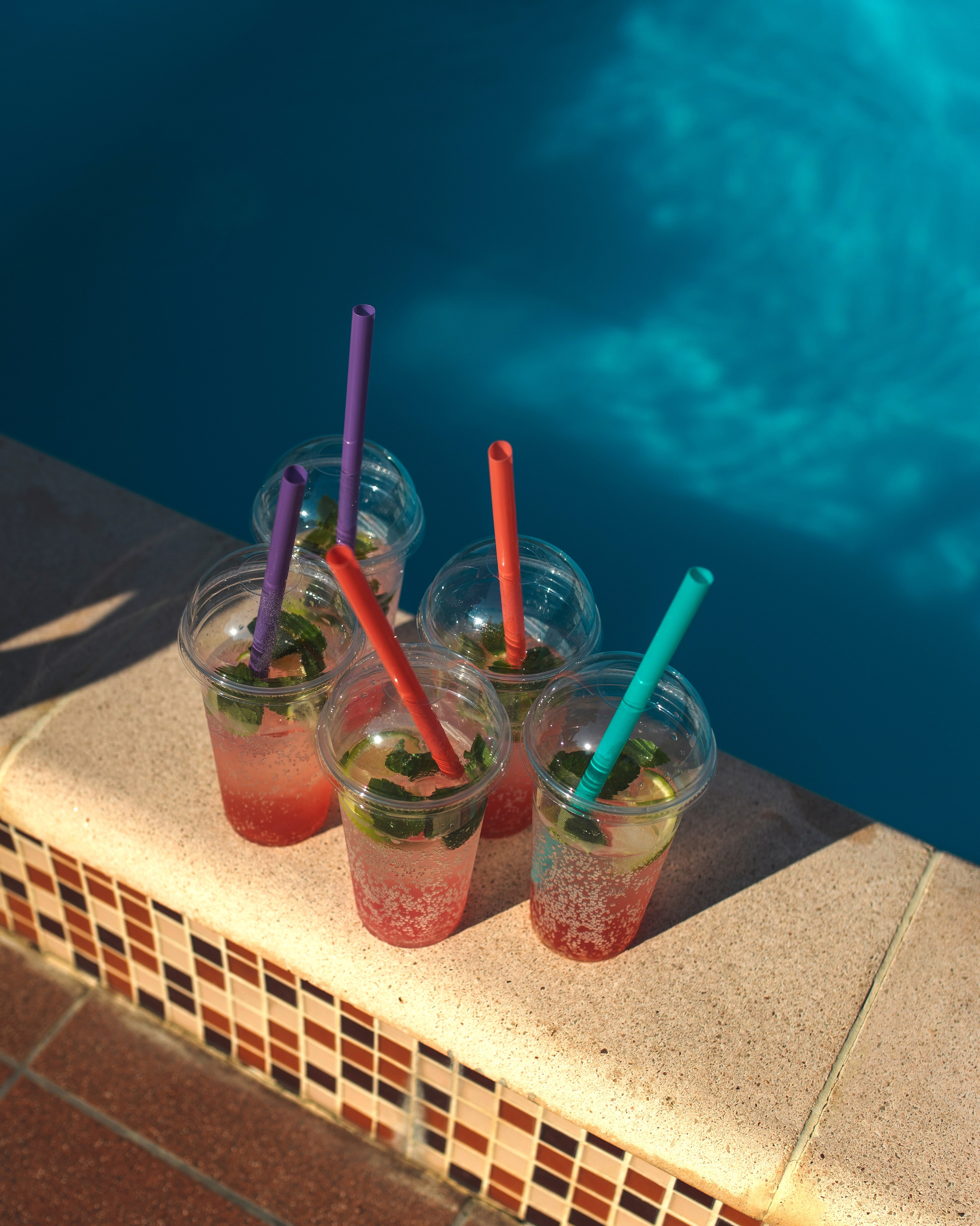 HB 2025 Ярослава