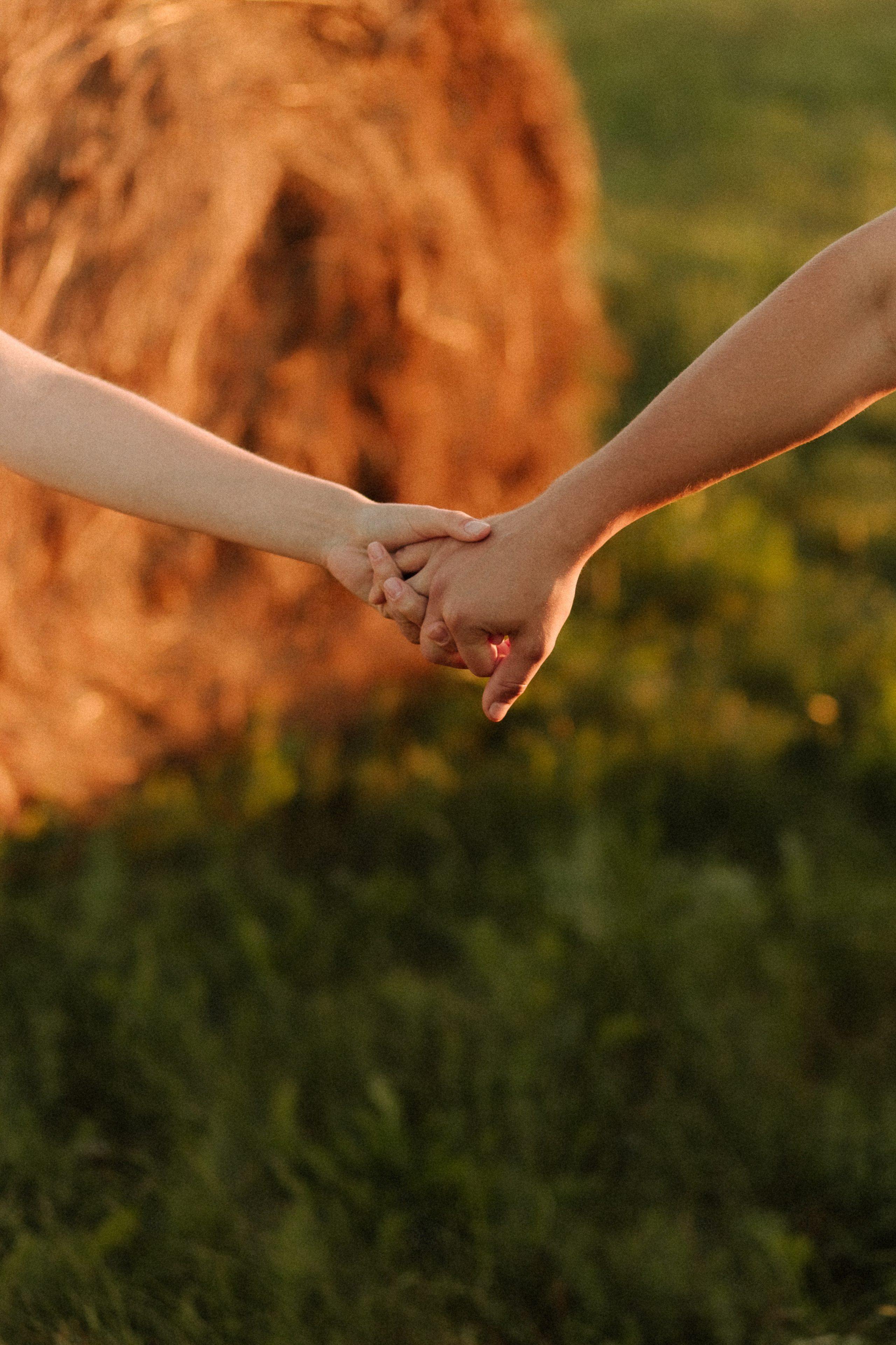 Елизавета и Вадим. Свадебный и семейный фотограф Исаев Давид