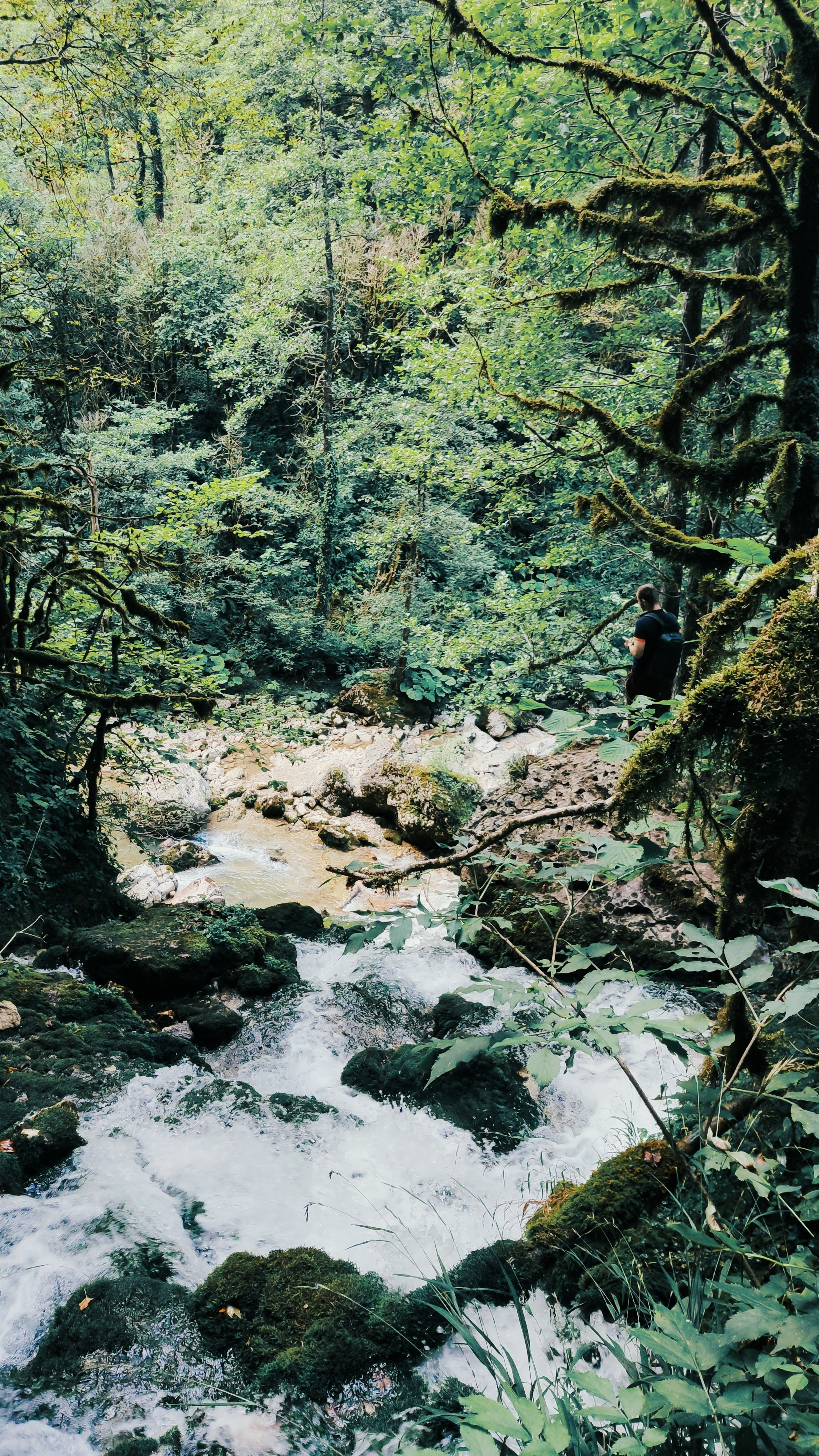 Автор: Екатерина Дмитриева