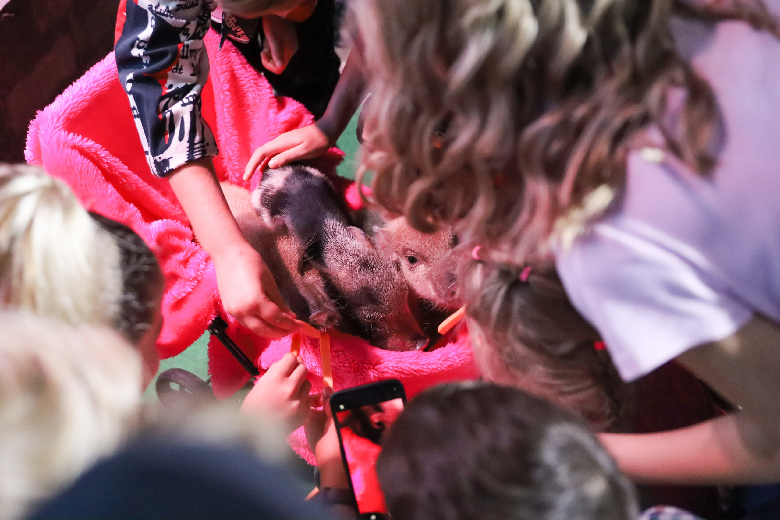 ДЕНЬ РОЖДЕНИЯ ЕВЫ В КРБ. Фотограф мероприятий Ирина Каширина