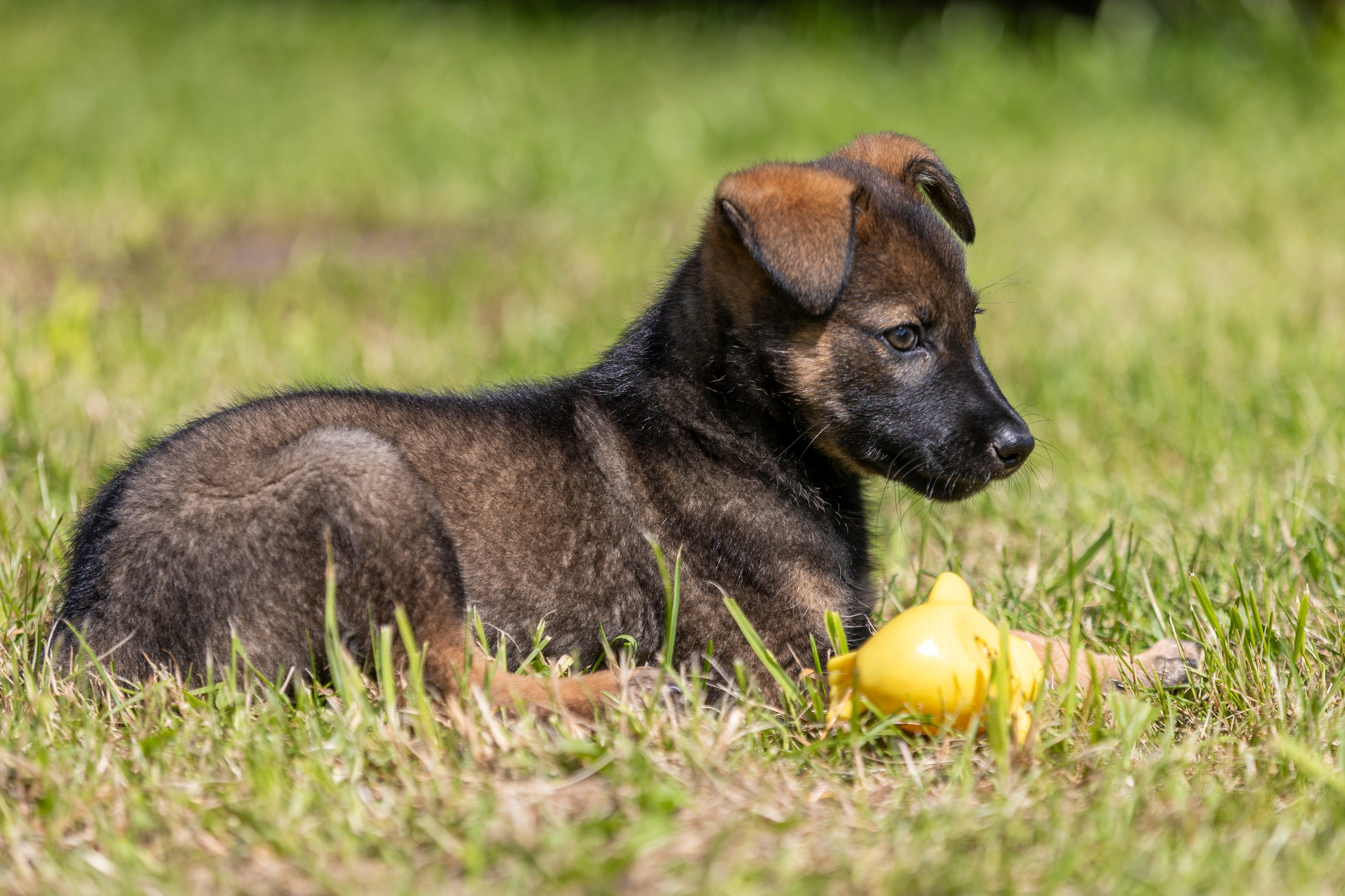 Бездомыши. Фотограф 📸 семейный, предметный, репортажный