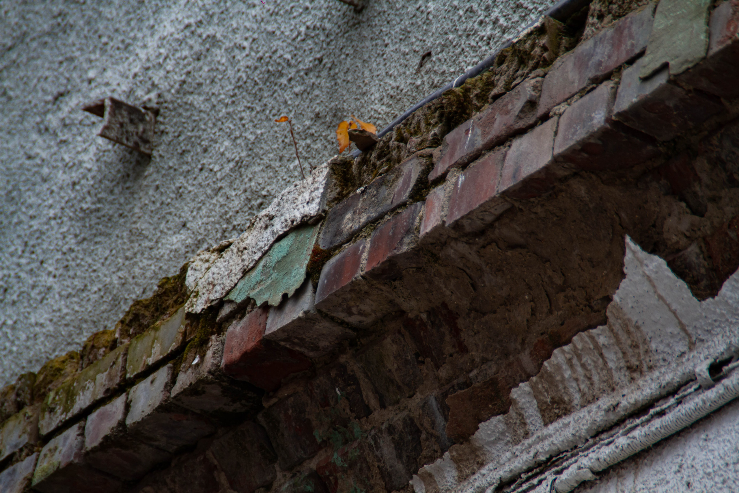 Архитектура