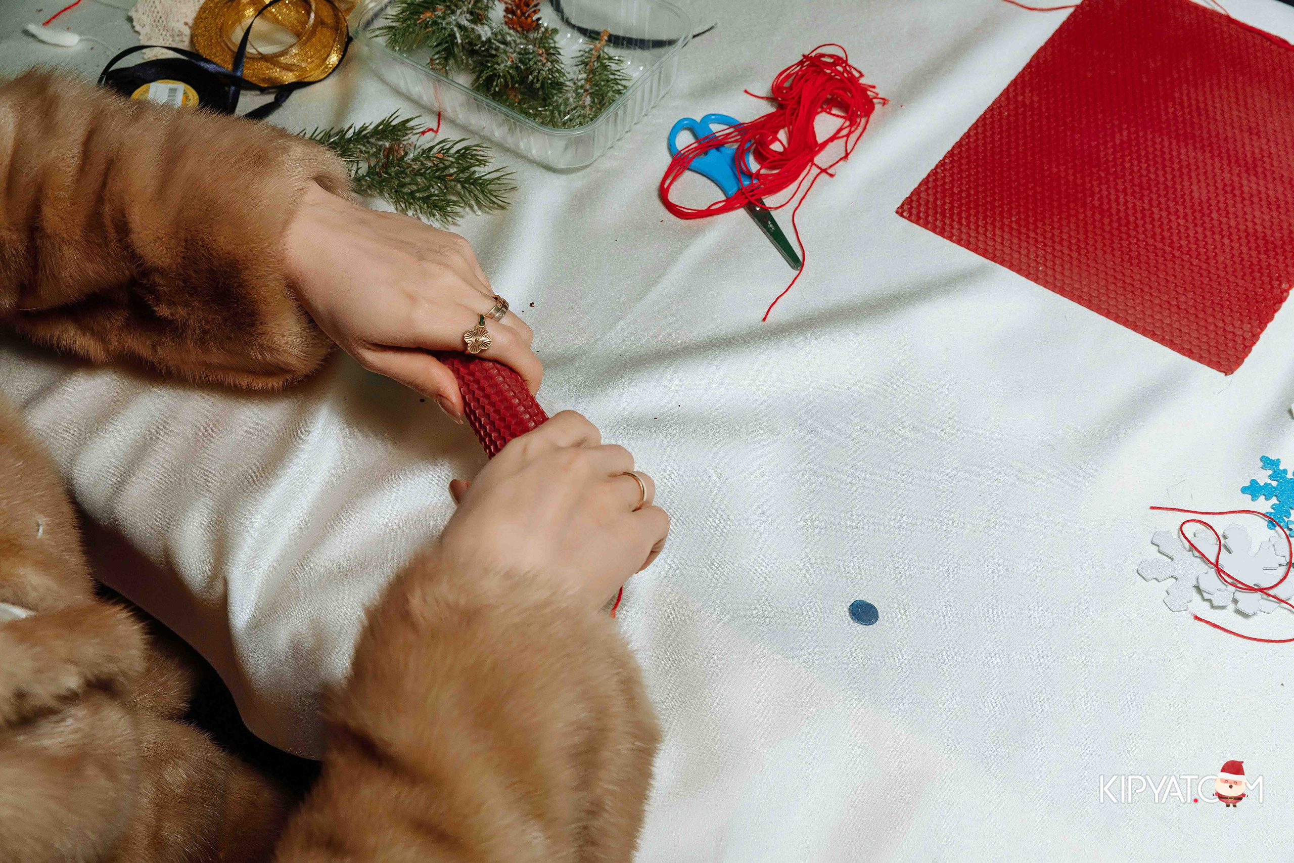 Открытие бигвилля Dendropark