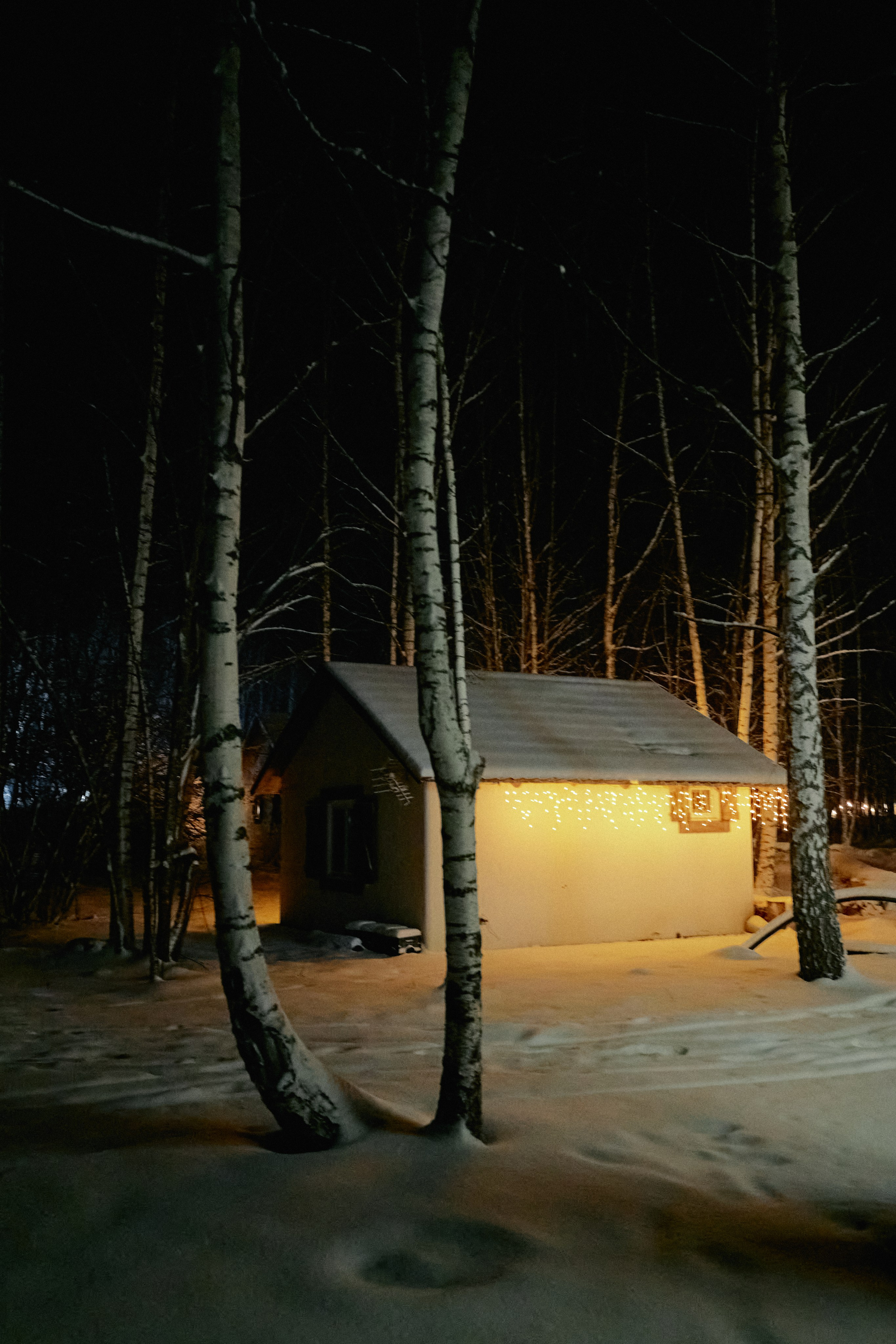 Бутик-отель Поле зимой. Профессиональный Фотограф во Владимире, в Москве и в Суздале — Полина Романычева