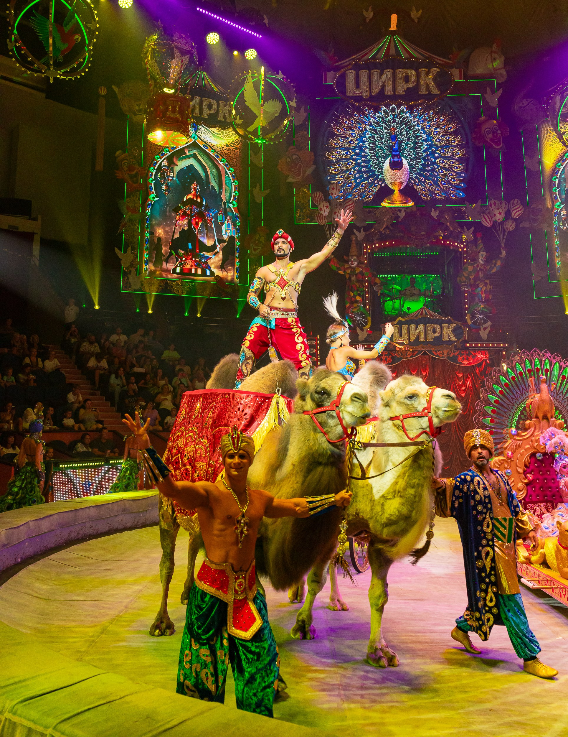 Цирк ГИИ ЭРАДЗЕ. Семейный и Свадебный фотограф в Сочи