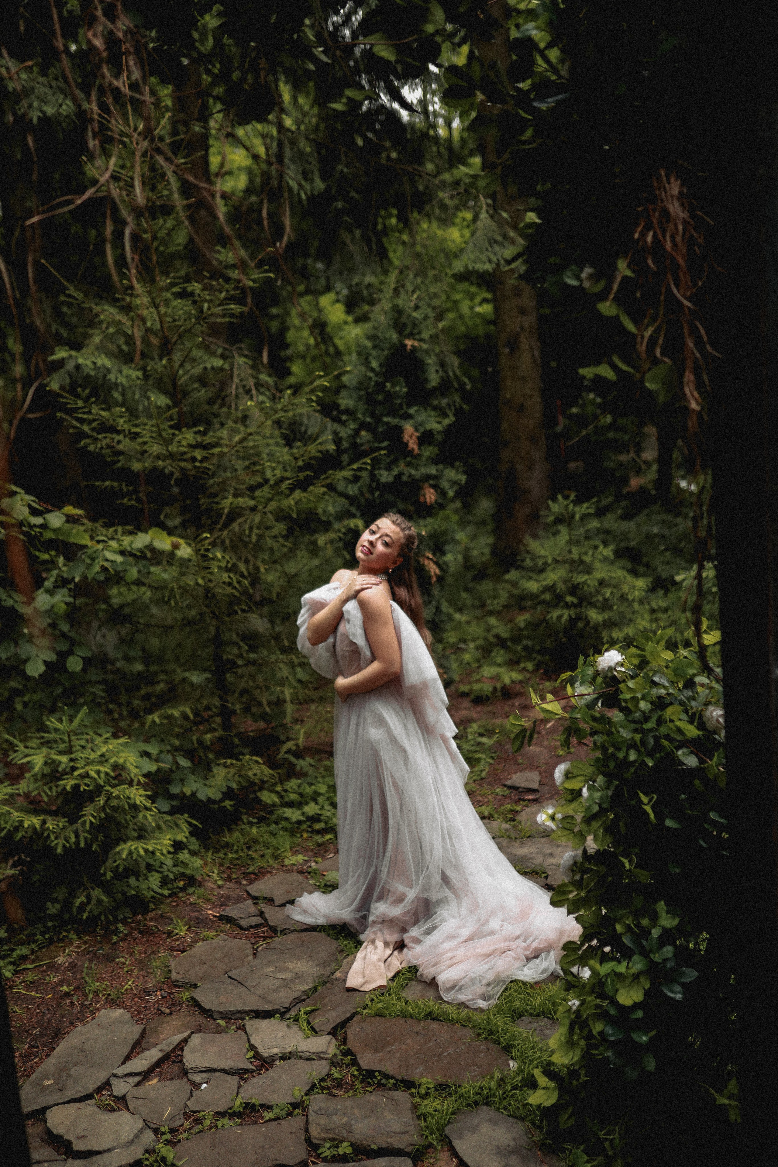 Зачарованный лес