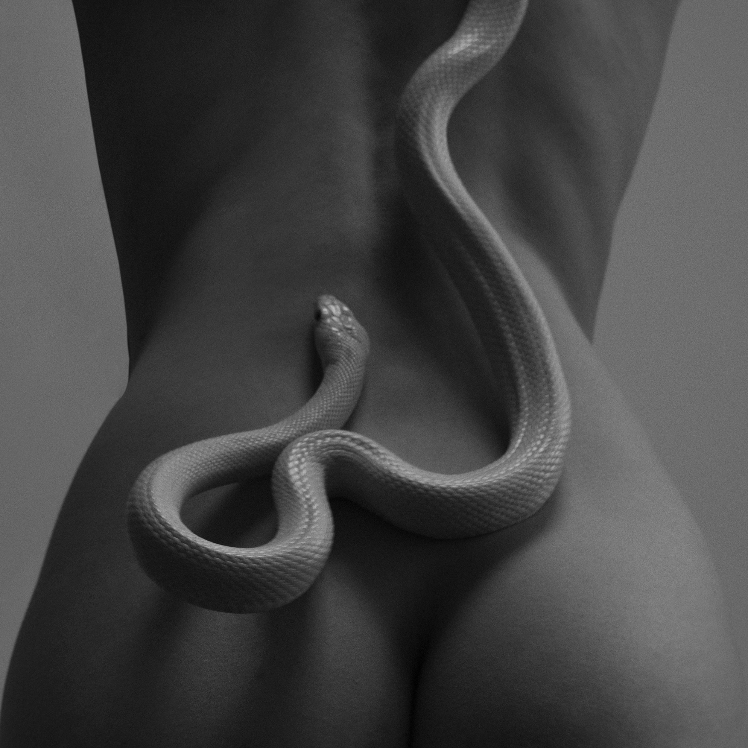 Ню. Дмитриева Елена. Портретный и ню-фотограф в Москве