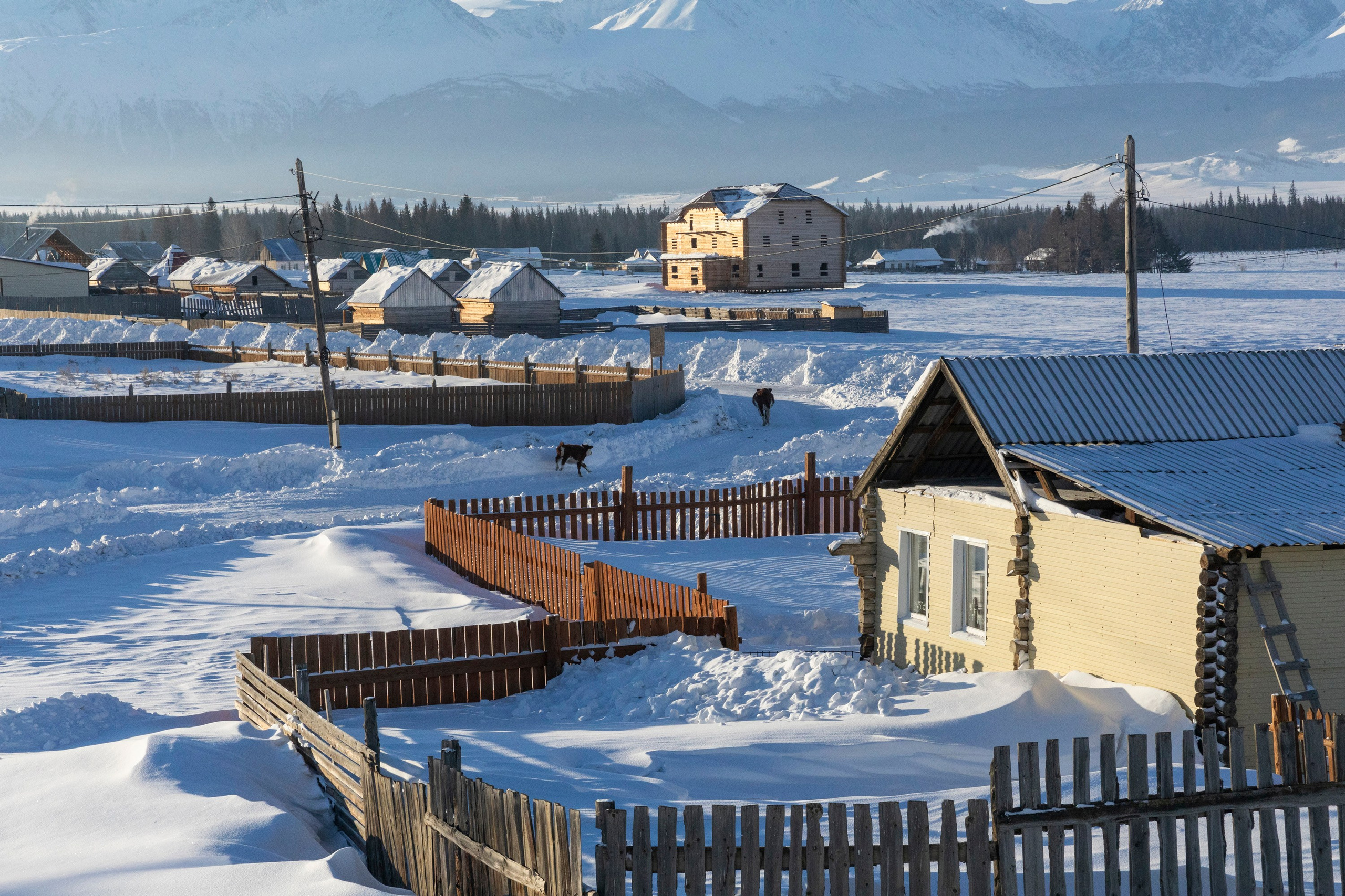 Алтай в декабре. Марина Захарова — Фотограф. Москва / Marina Zakharova — Photographer
