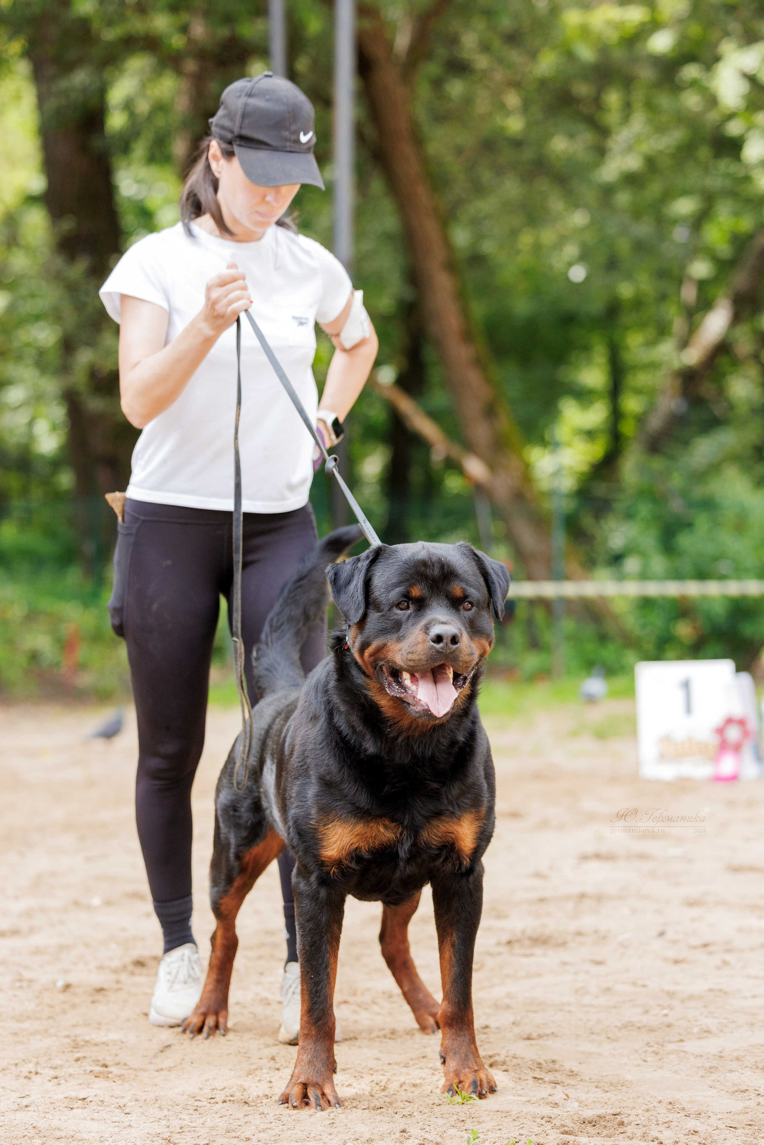 Рязань-Ховрино 10-11.08.2024 3хмоно ротвейлеров. Фотограф-анималист Юлия Германика