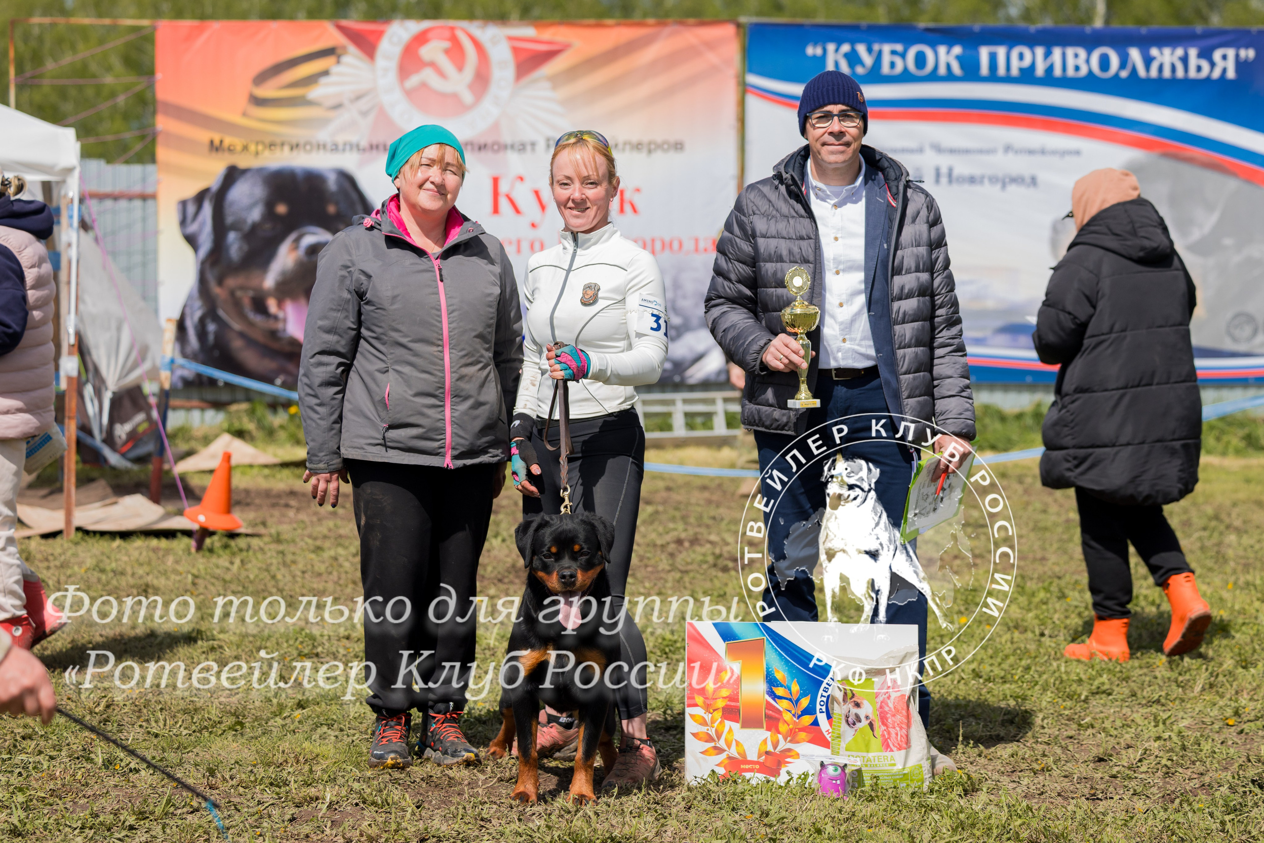 Нижний Новгород 2хмоно ротвейлеров 10-11.05.2025. Фотограф-анималист Юлия Германика
