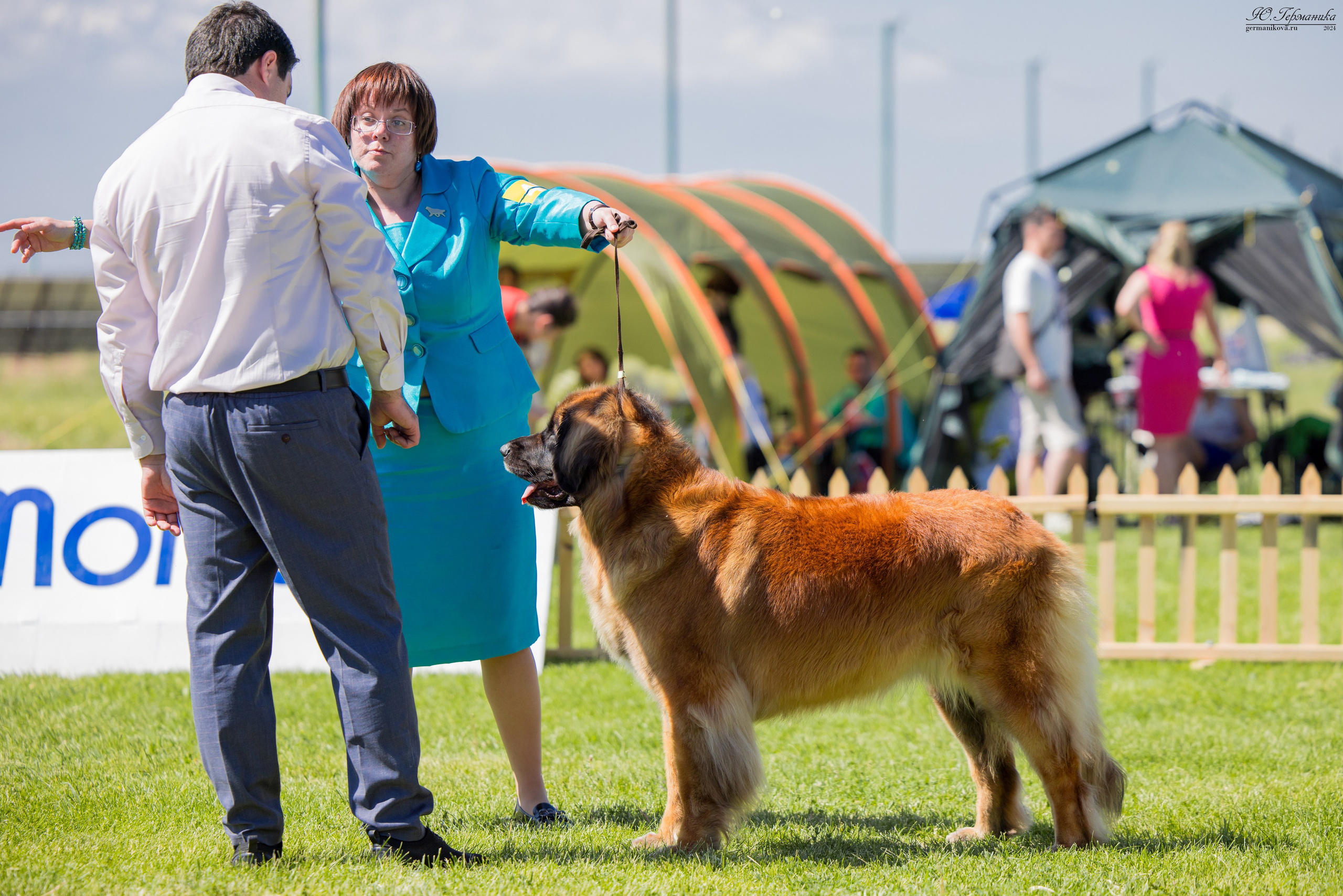 Ереван 3-5.06.2024. Фотограф-анималист Юлия Германика
