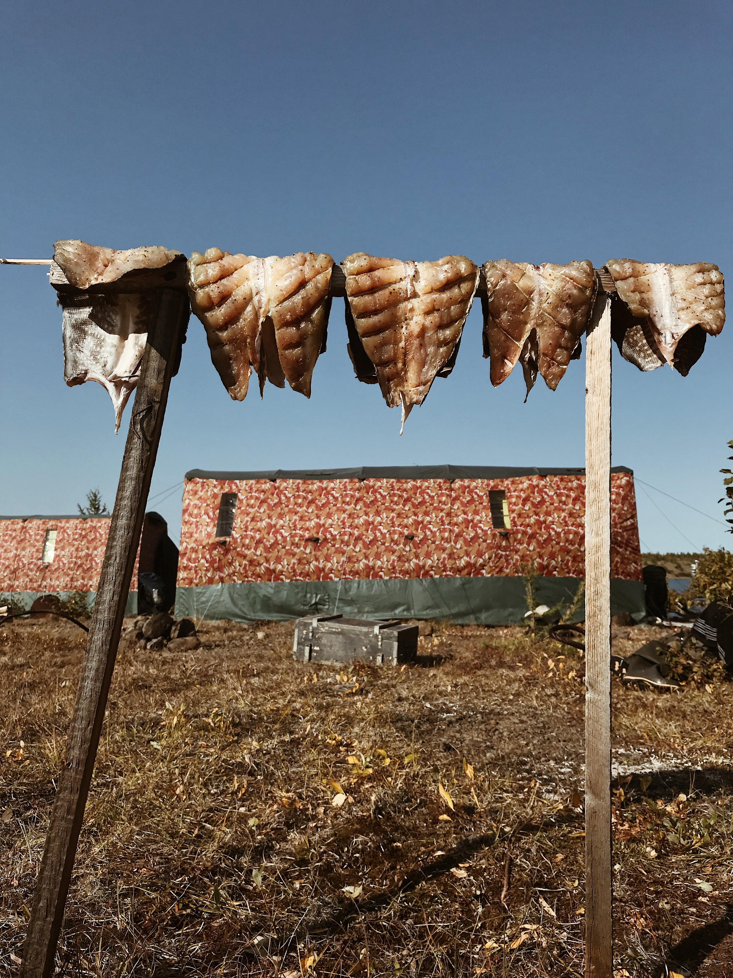 Экспедиции. Портретный арт и репортажный фотограф в Нячанге Ульяхина Полина