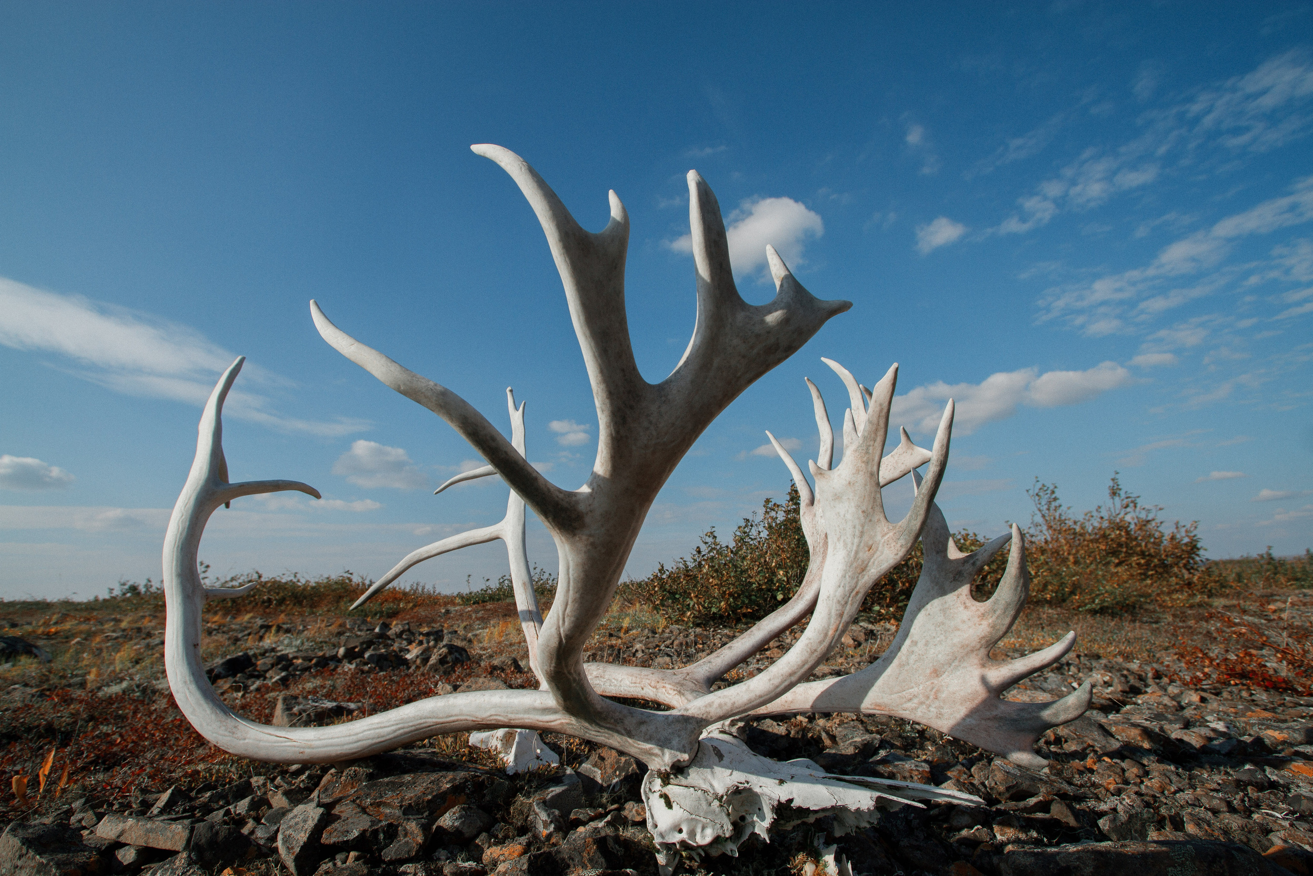 Экспедиции. Портретный арт и репортажный фотограф в Нячанге Ульяхина Полина