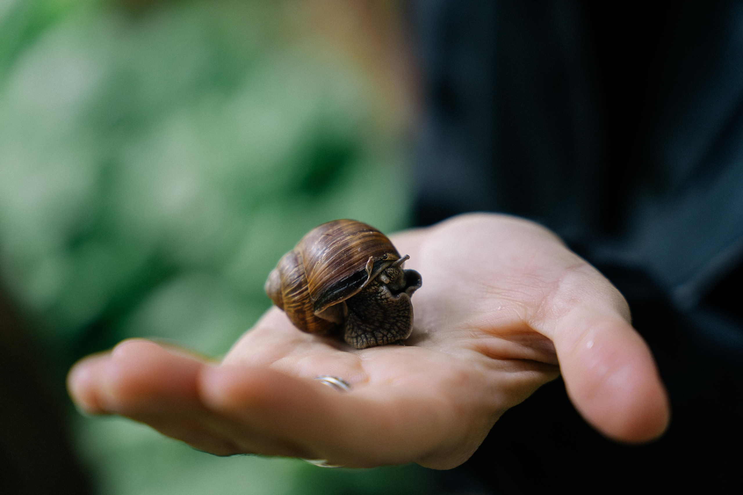 Даша. Портретный арт и репортажный фотограф в Нячанге Ульяхина Полина