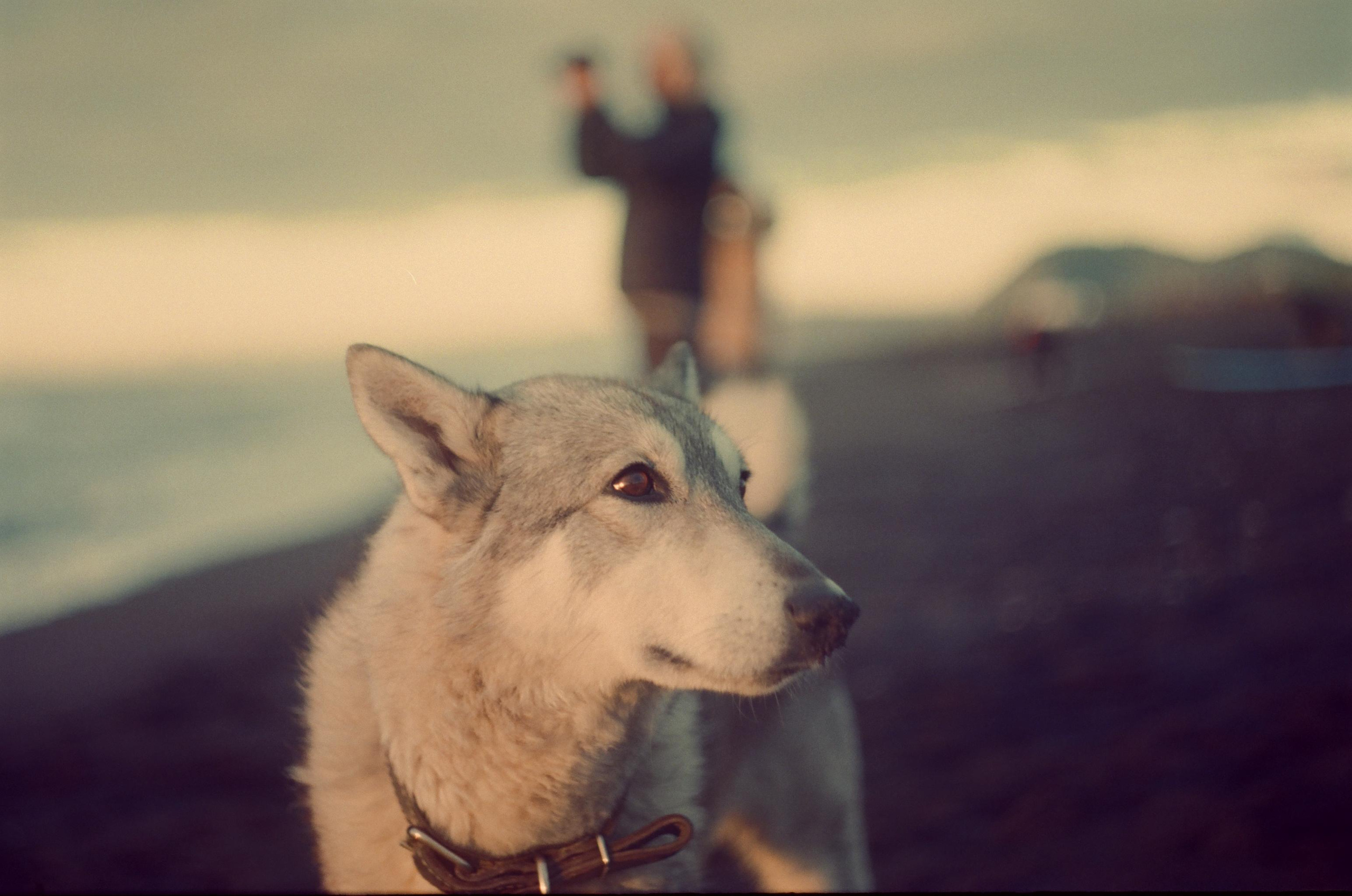 Syntesfilm KAMCHATKA. Портретный арт и репортажный фотограф в Нячанге Ульяхина Полина