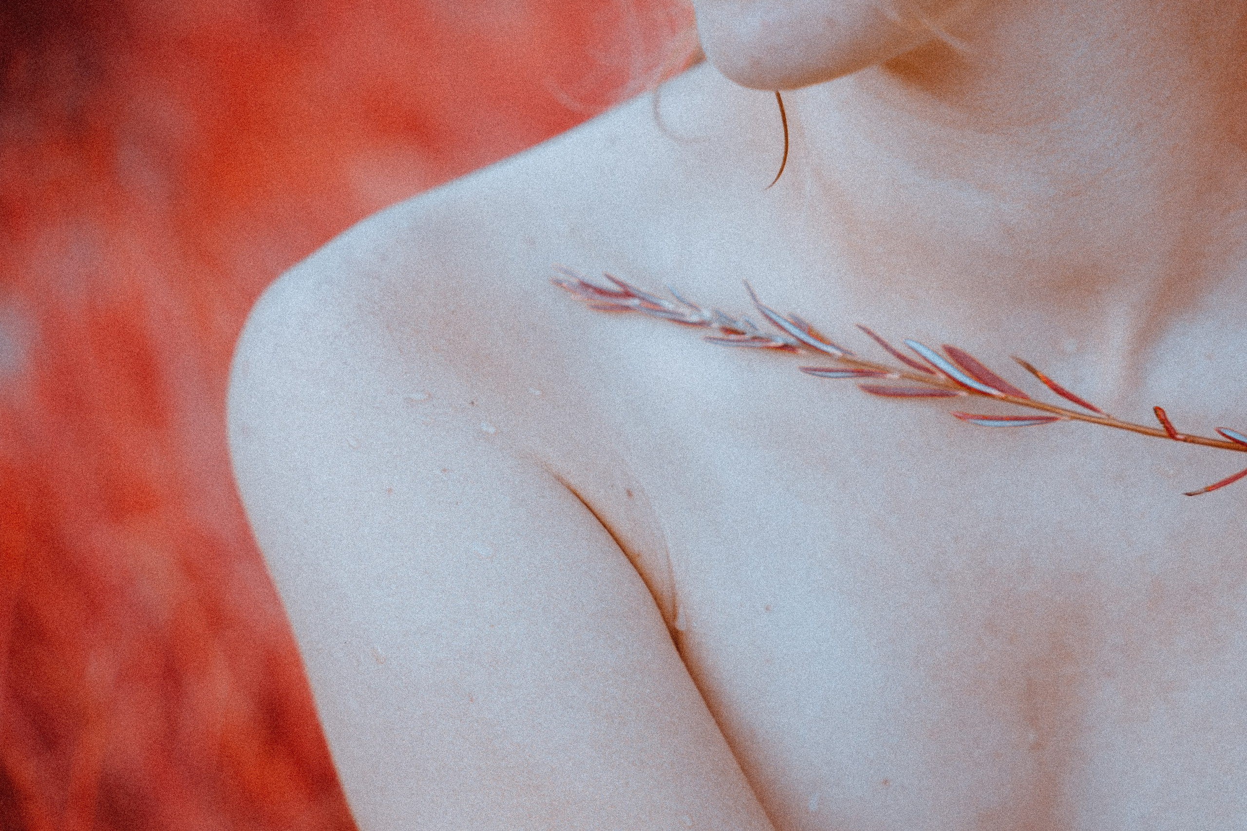 Разное. Портретный арт и репортажный фотограф в Нячанге Ульяхина Полина