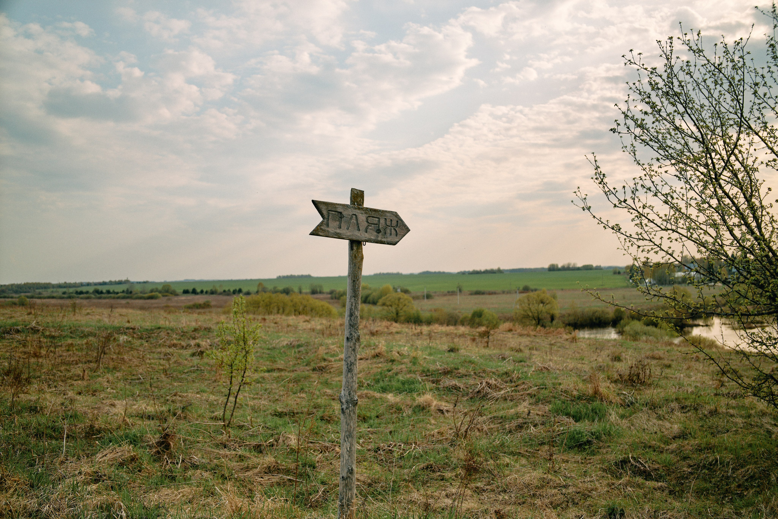 Бутик-отель Поле летом. Профессиональный Фотограф во Владимире, в Москве и в Суздале — Полина Романычева