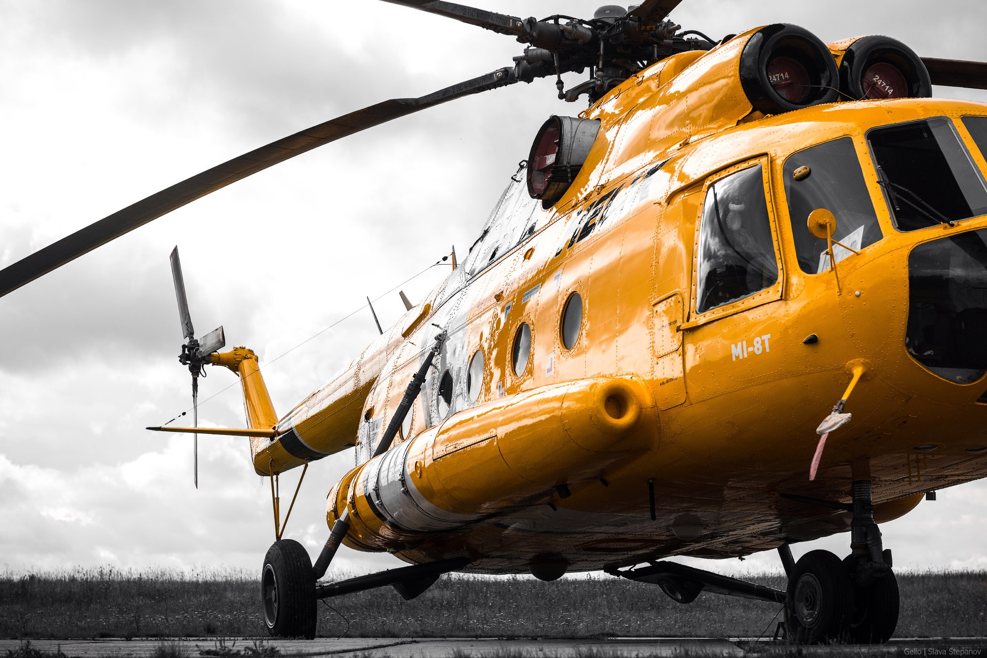 Аваиция. Фотограф Слава Степанов, Gelio