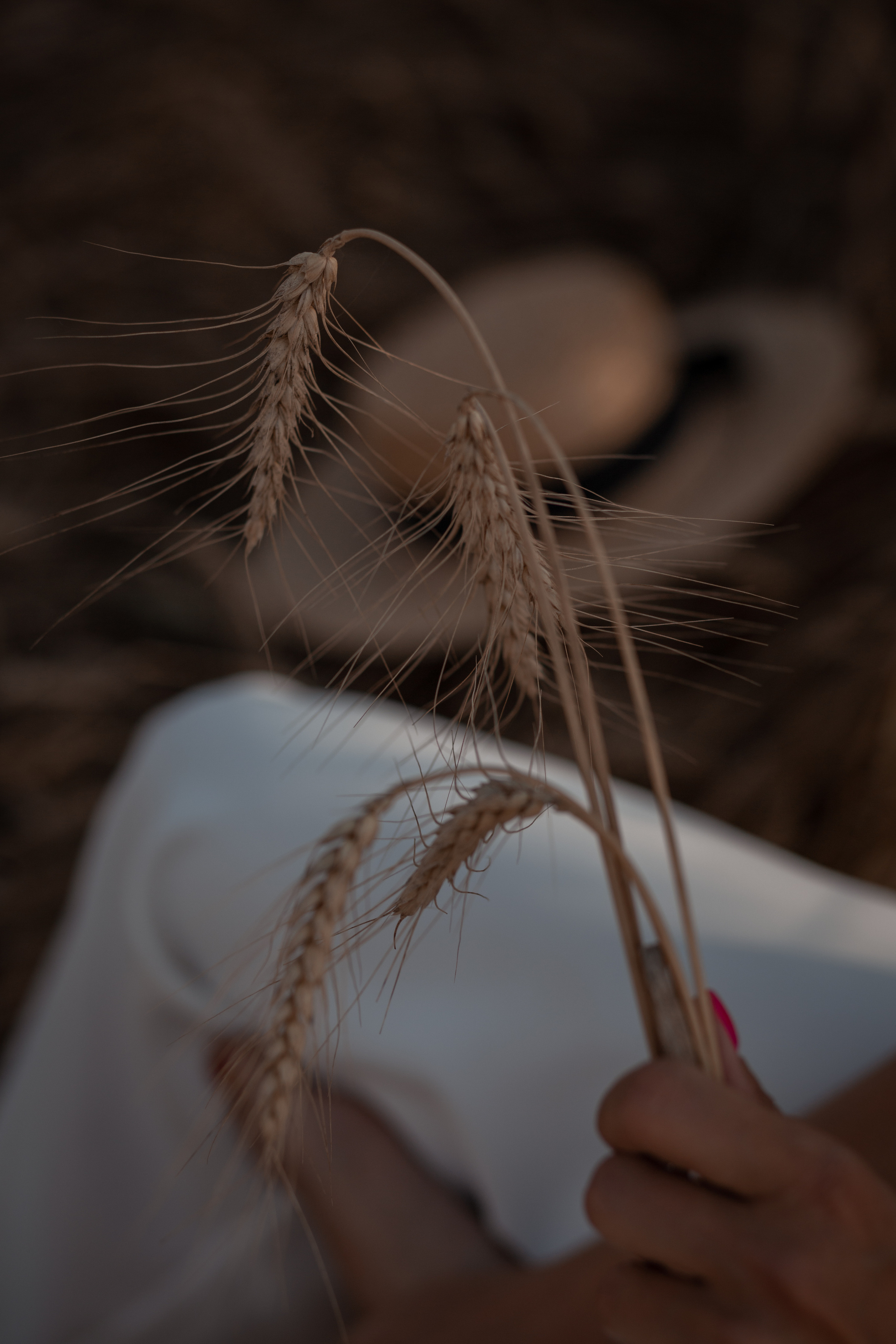 Индивидуальная съемка. Свадебный фотограф Афонченко Татьяна