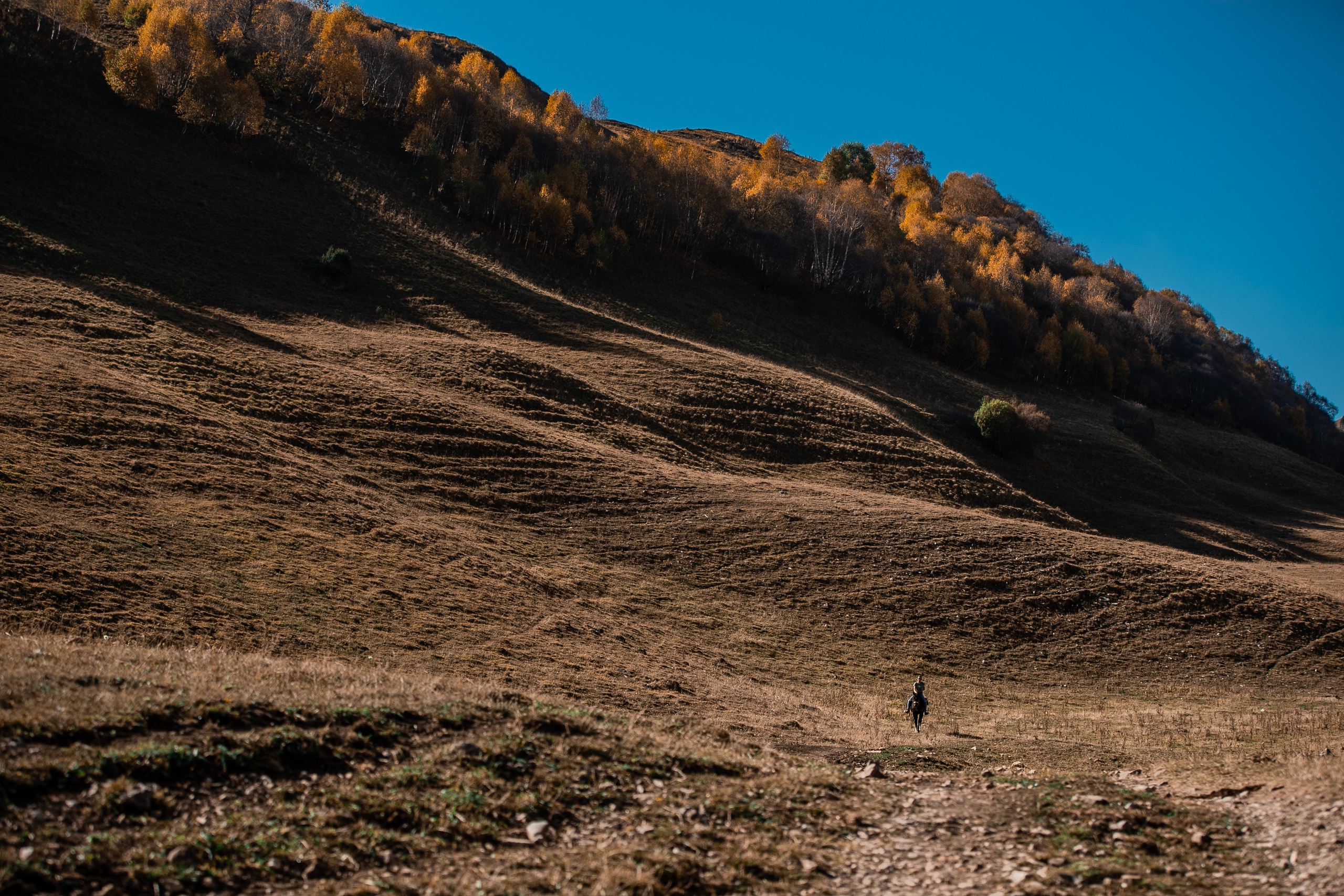 Фототуры в Карачаево-Черкессии 2019-2020. Фотограф-анималист Ксендзова Кристина