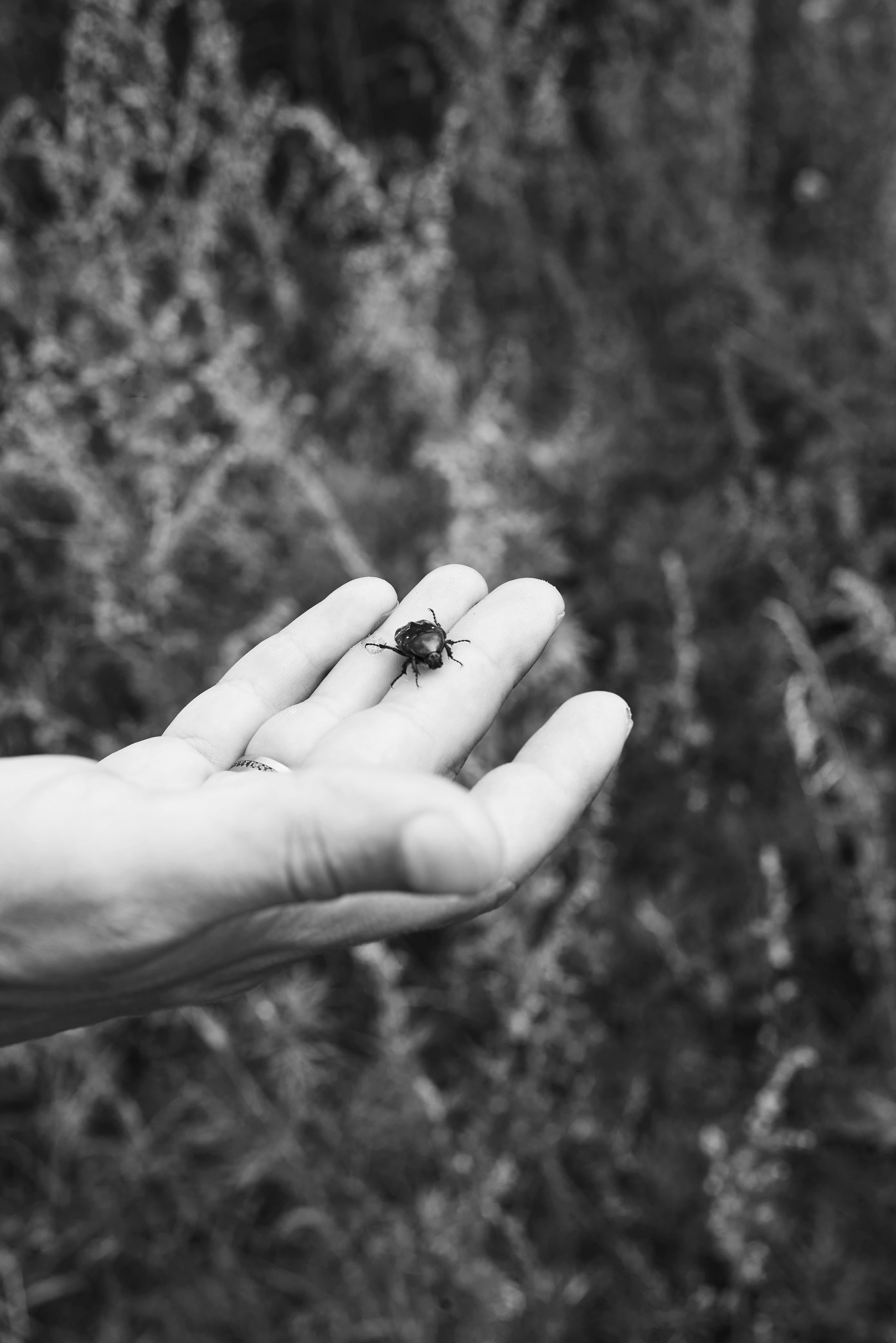 Алина и Сергей. Семейный фотограф в Барнауле, Горный Алтай, Заринск, Алейск